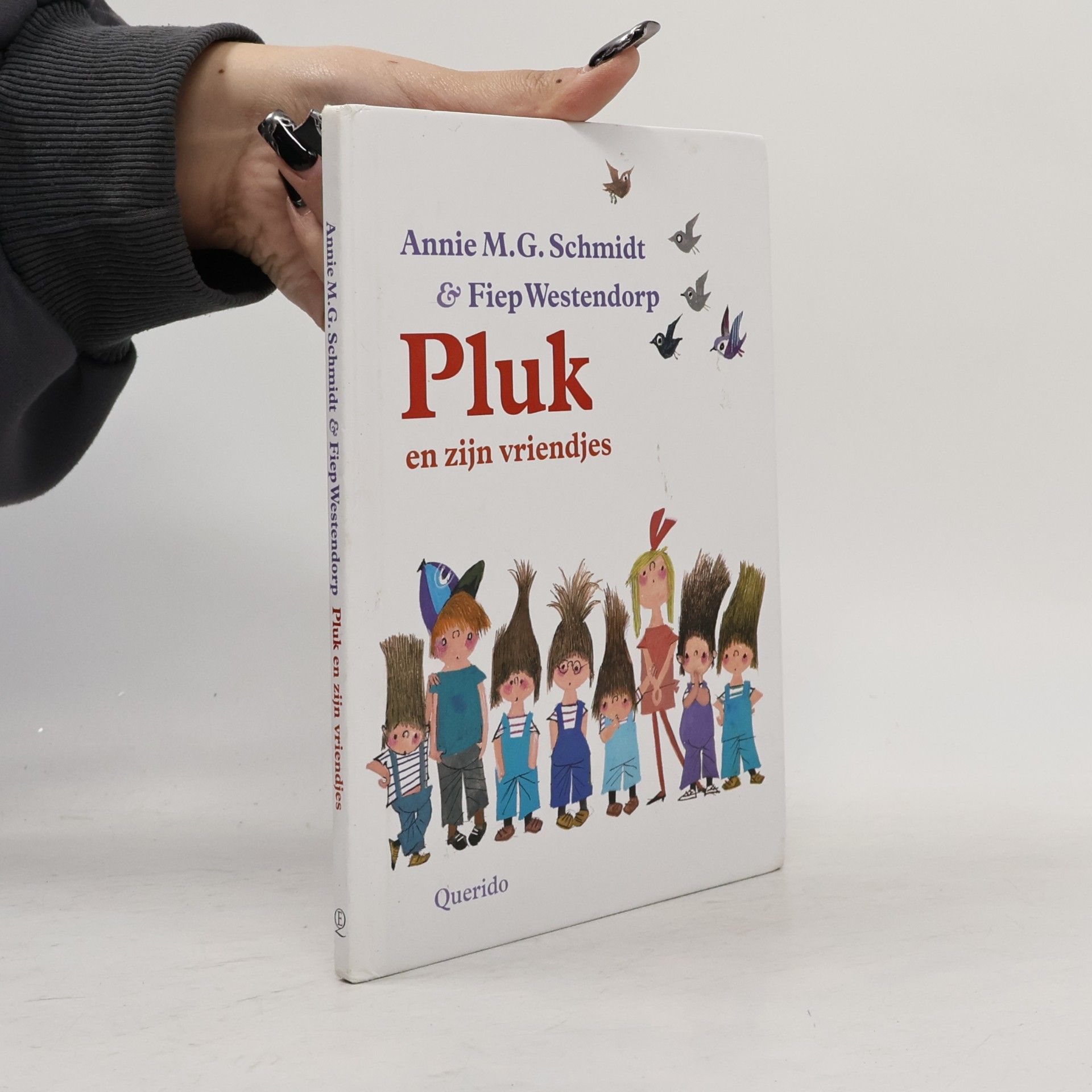 Flip van Duijn Pluk en zijn vriendjes