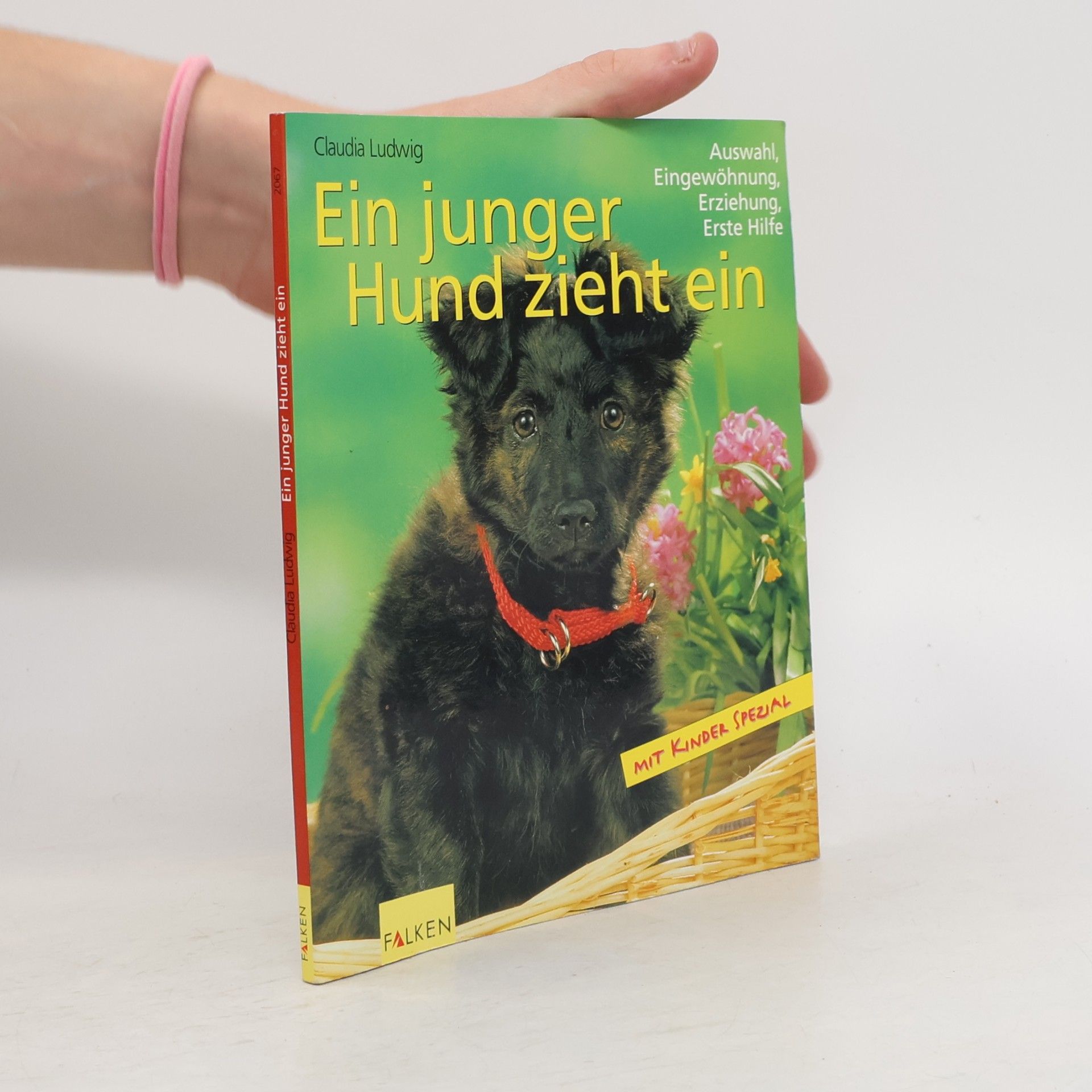 Ein junger Hund zieht ein