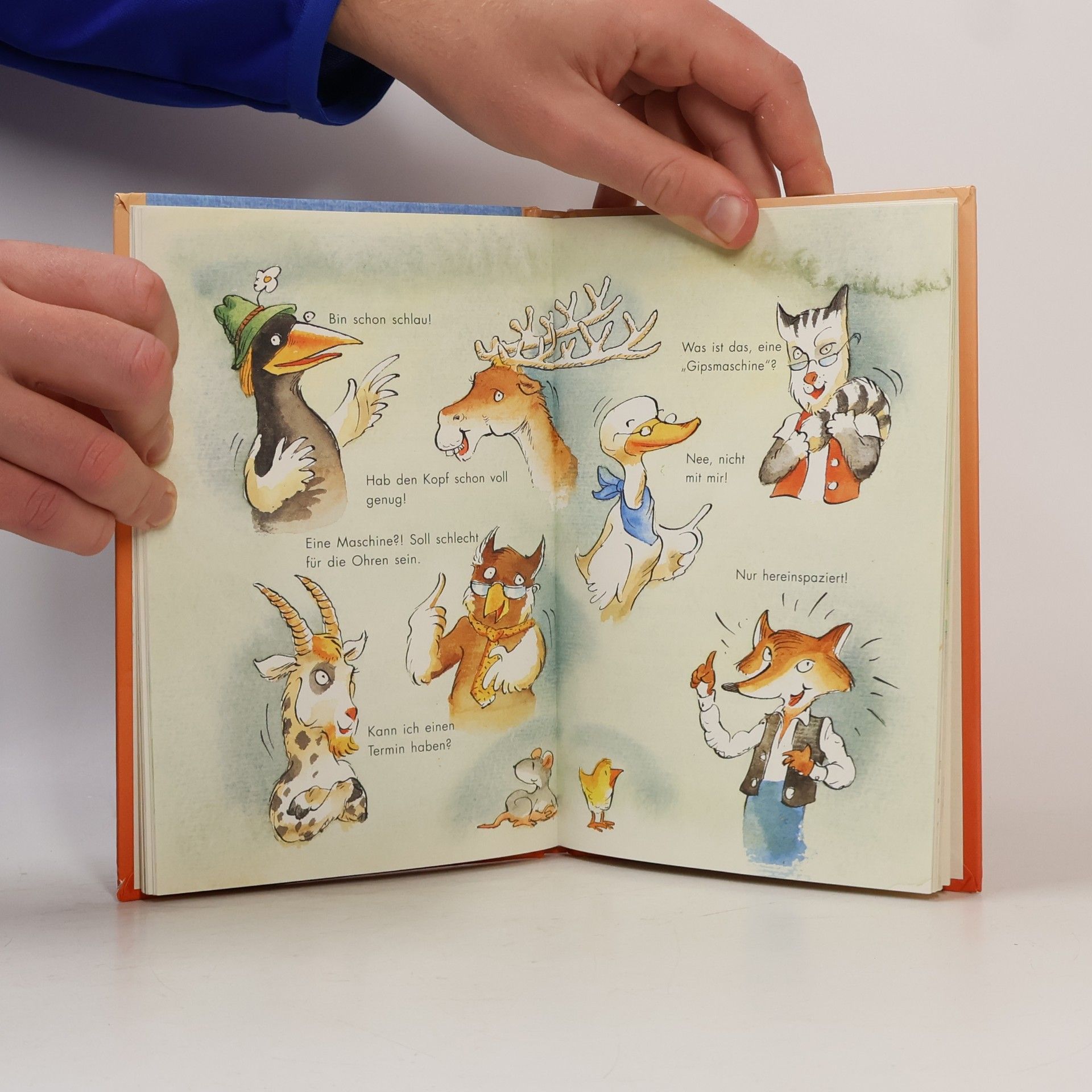 Ursel Scheffler Der schlaue Fuchs Rinaldo plant neue Tricks