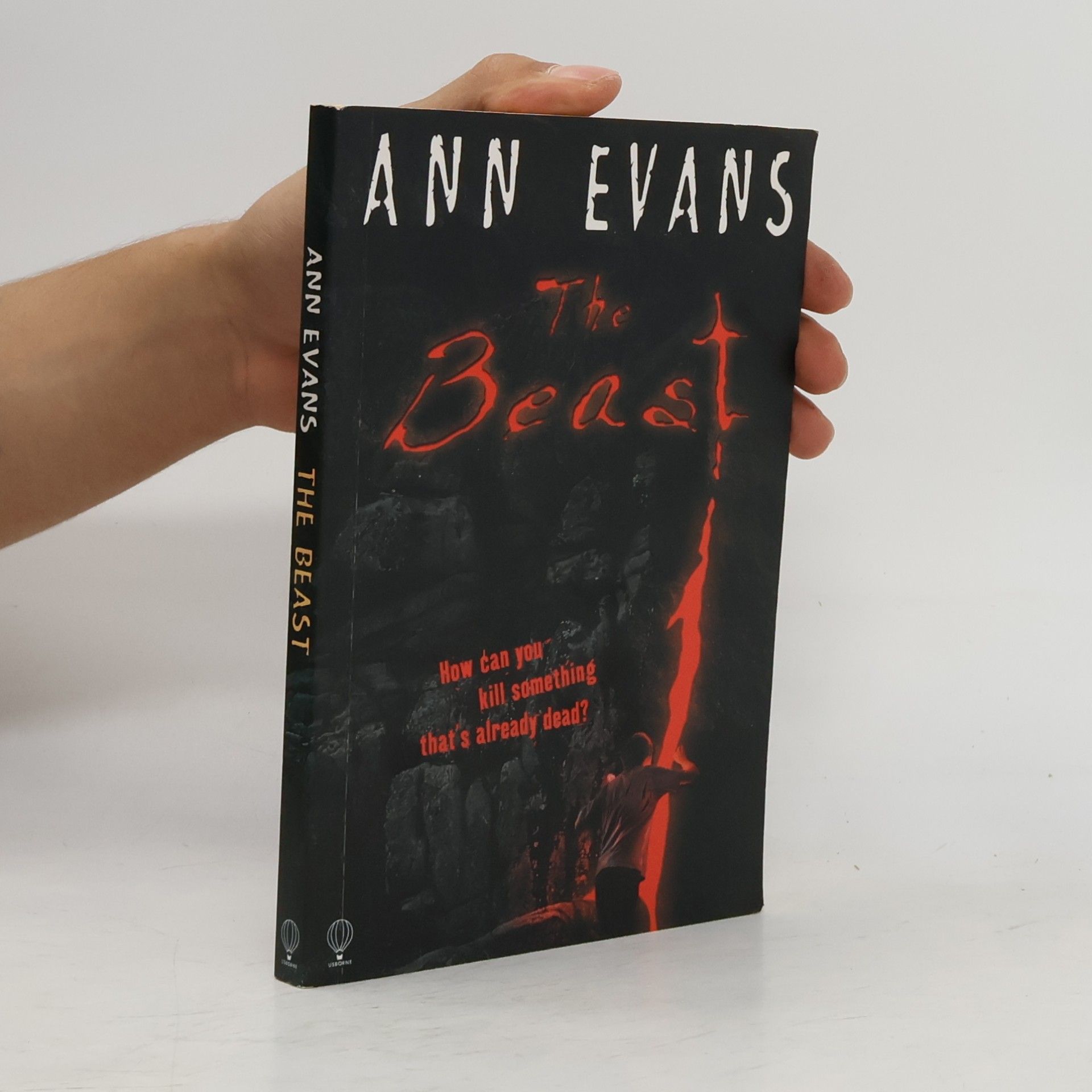 Ann Evans Usborne Thrillers: The Beast