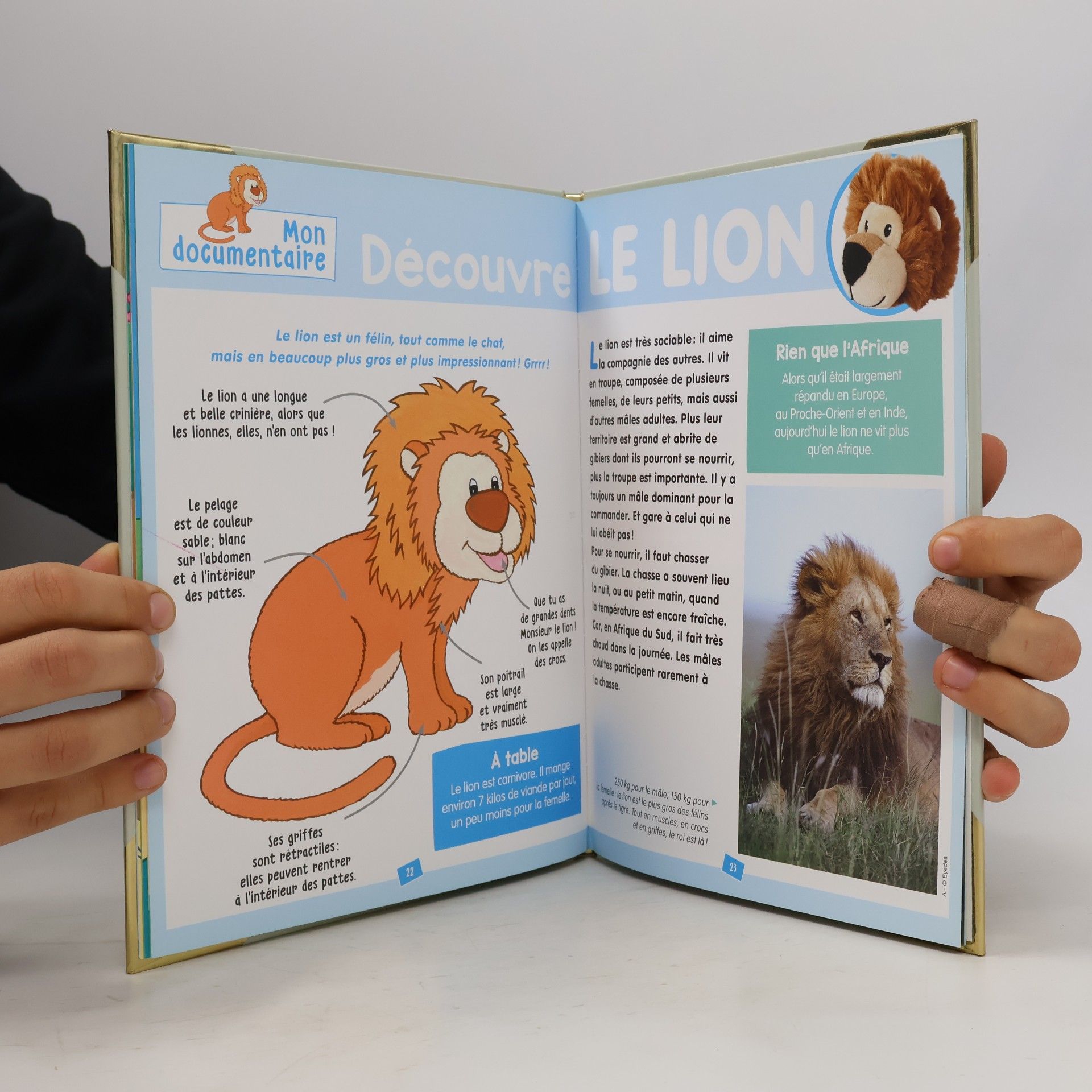 Sylvie Albou-Tabart Découvre le L avec Léon le lion