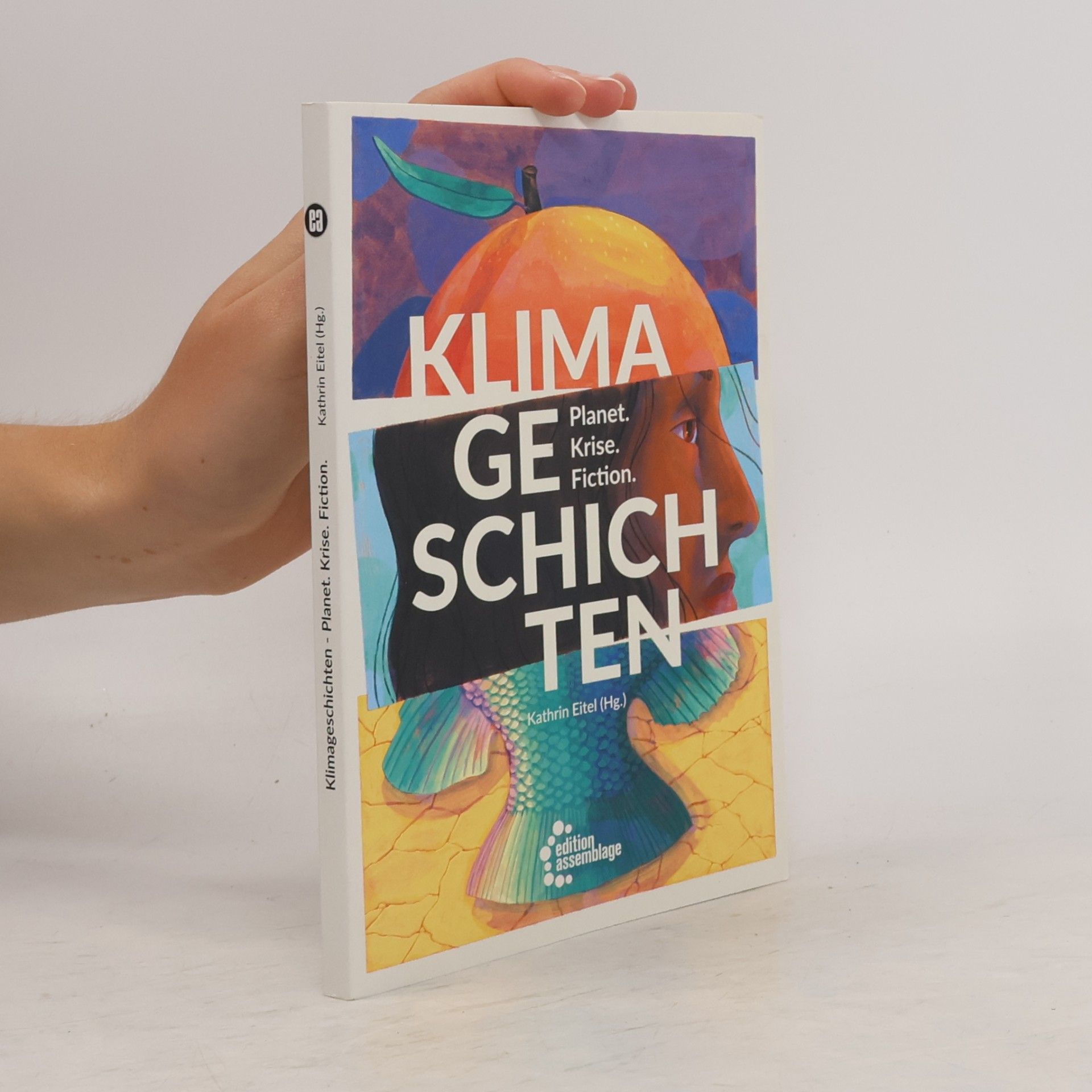 Kathrin Eitel Klimageschichten. Planet. Krise. Fiction