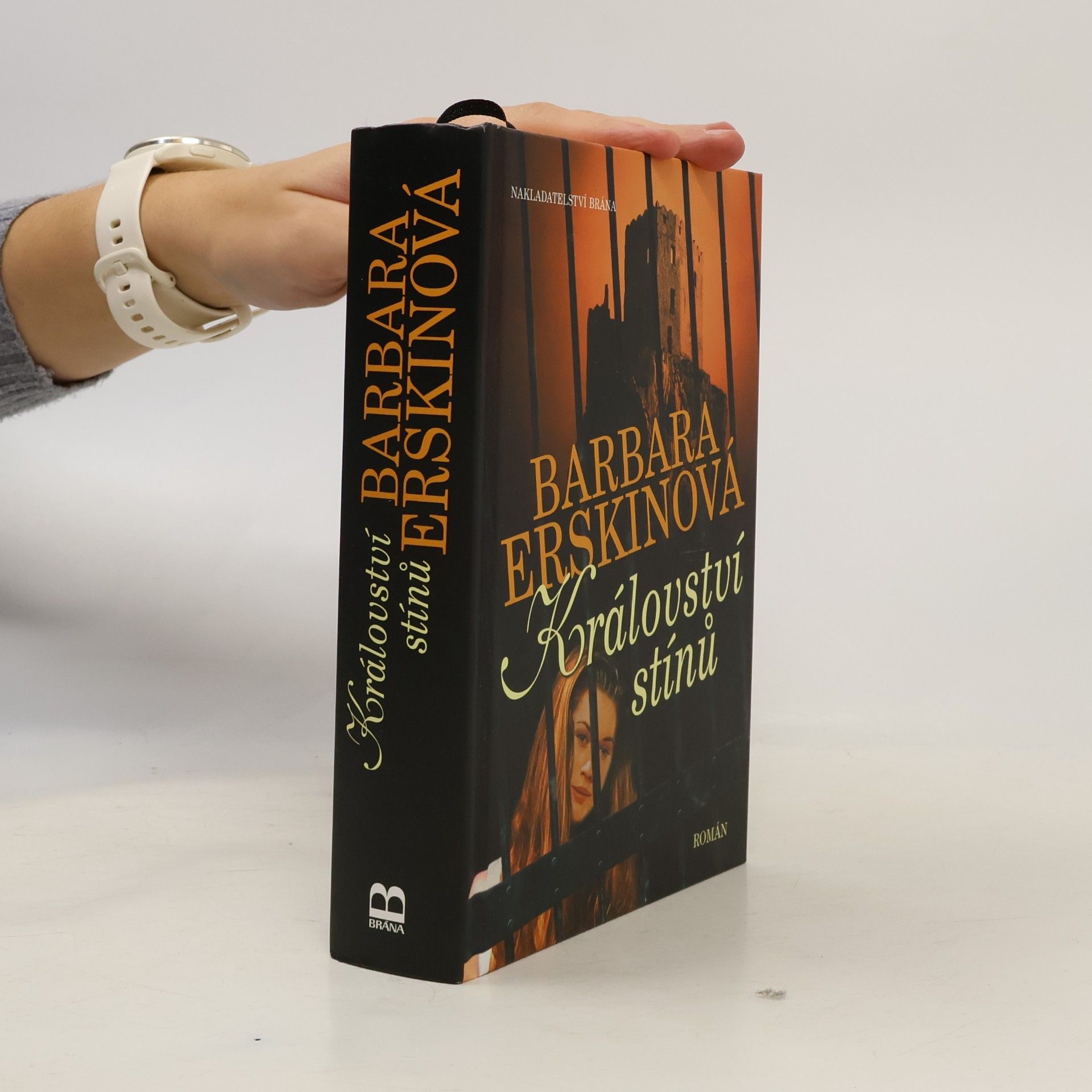 Barbara Erskine Království stínů : román