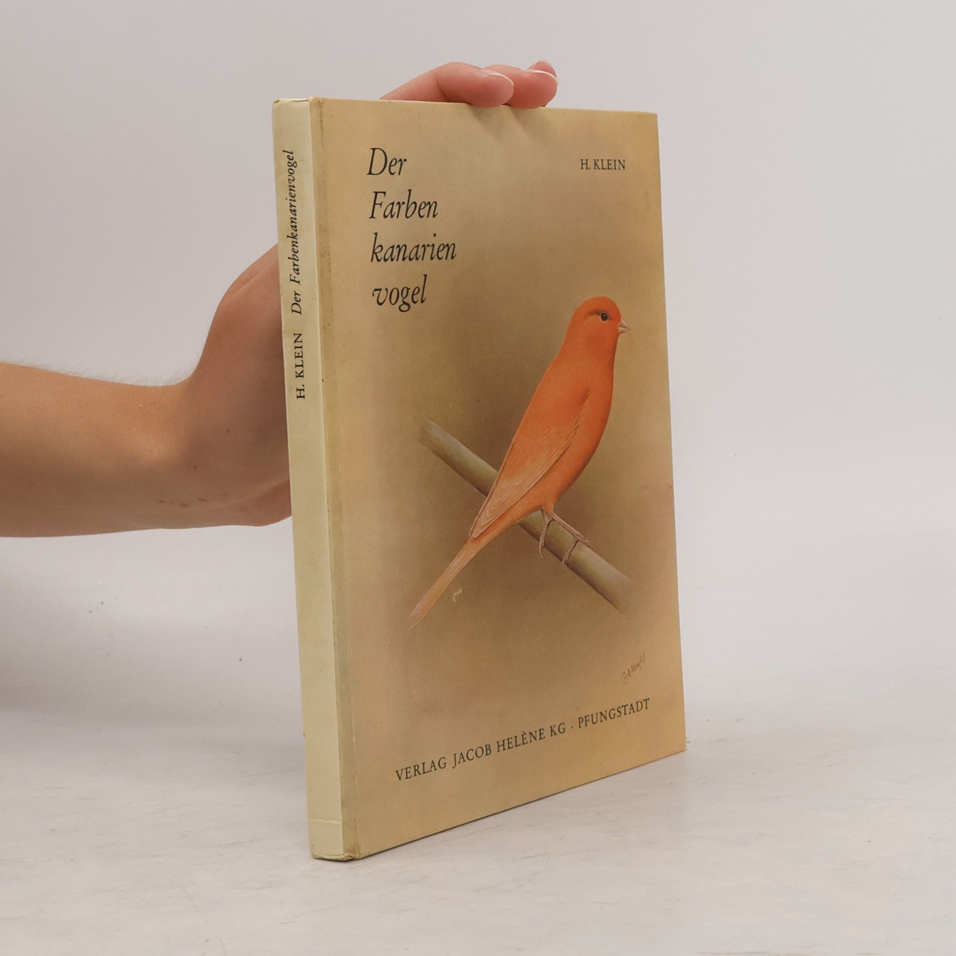 Der Farbenkanarienvogel