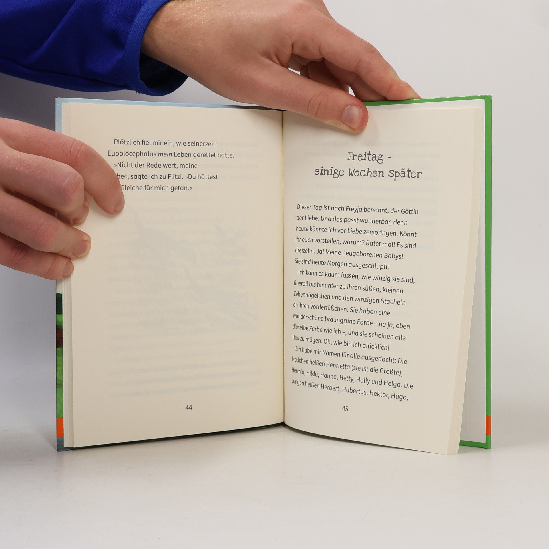 Julia Donaldson Der kleinste Dinosaurier
