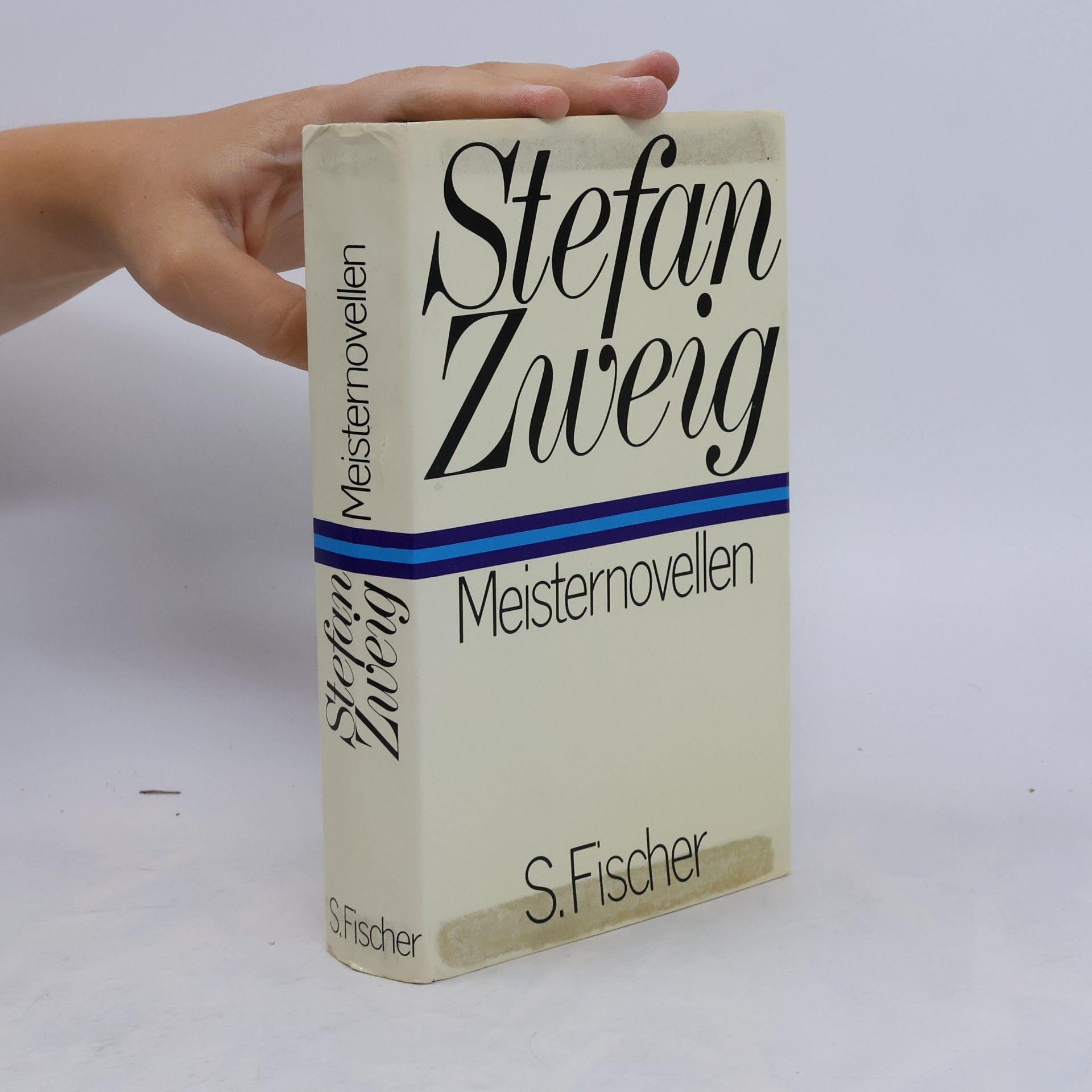 Stefan Zweig Meisternovellen