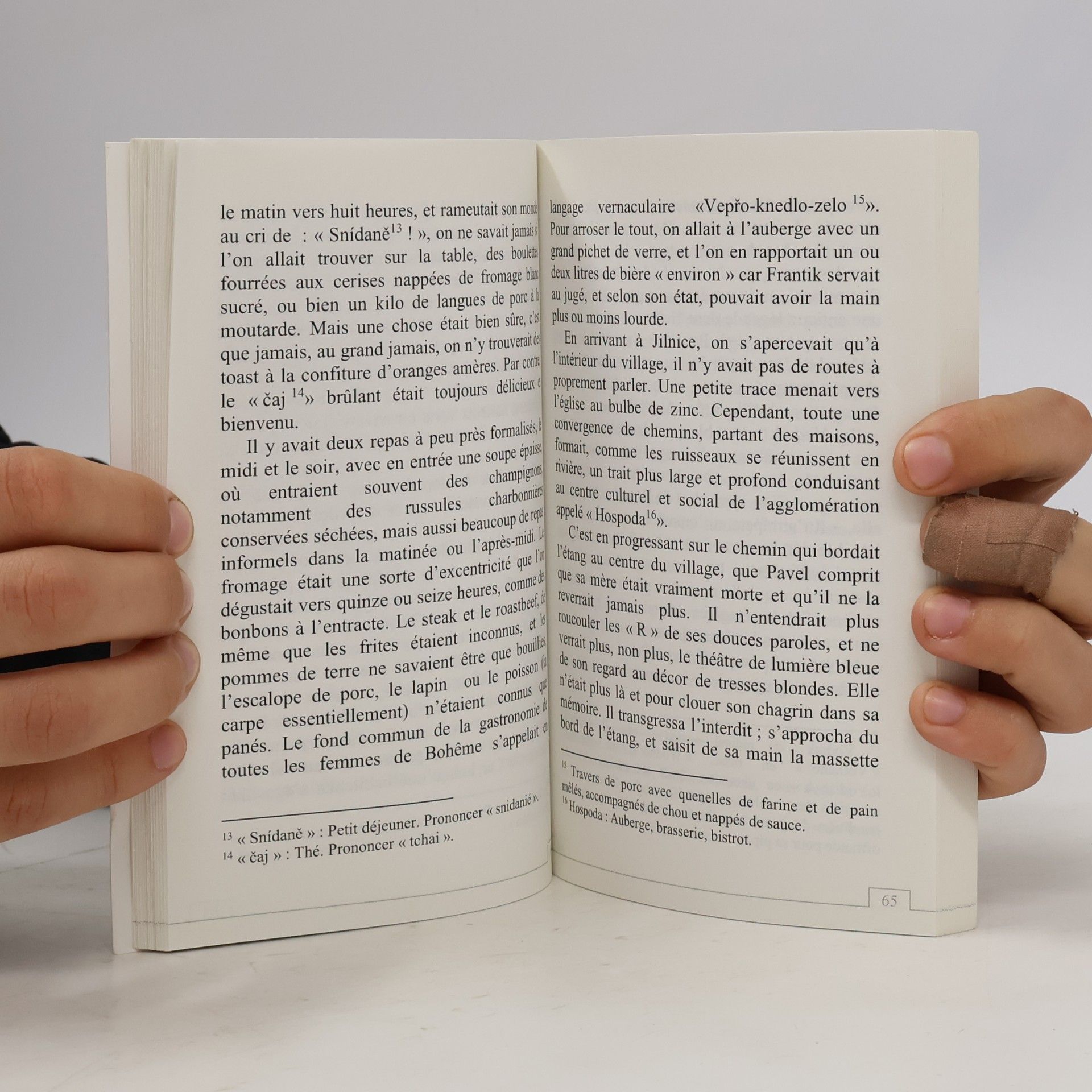 Bernard Sauvageot-Feuillet Ombres chinoises et autres contes. Tome I.