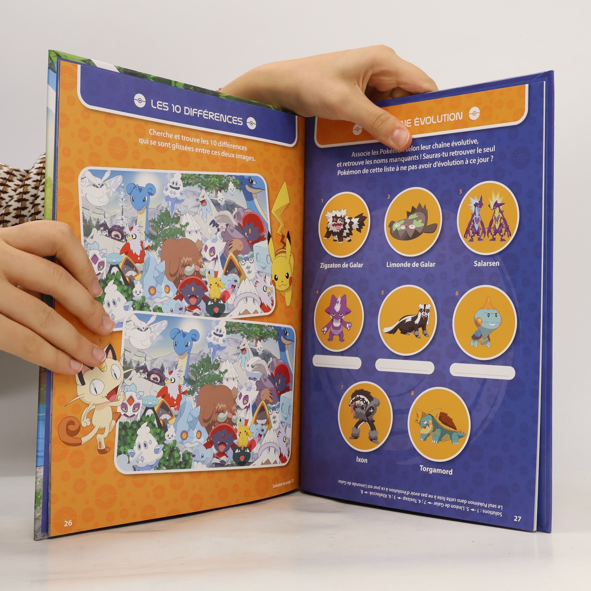 Pokémon: Pikachu et ses amis de Galar
