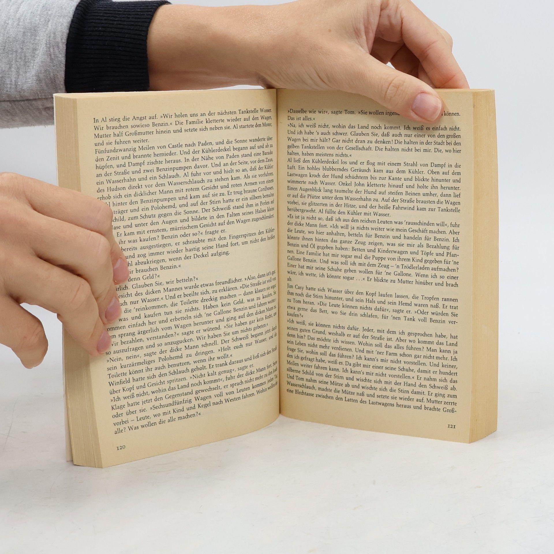 John Steinbeck Früchte des Zorns