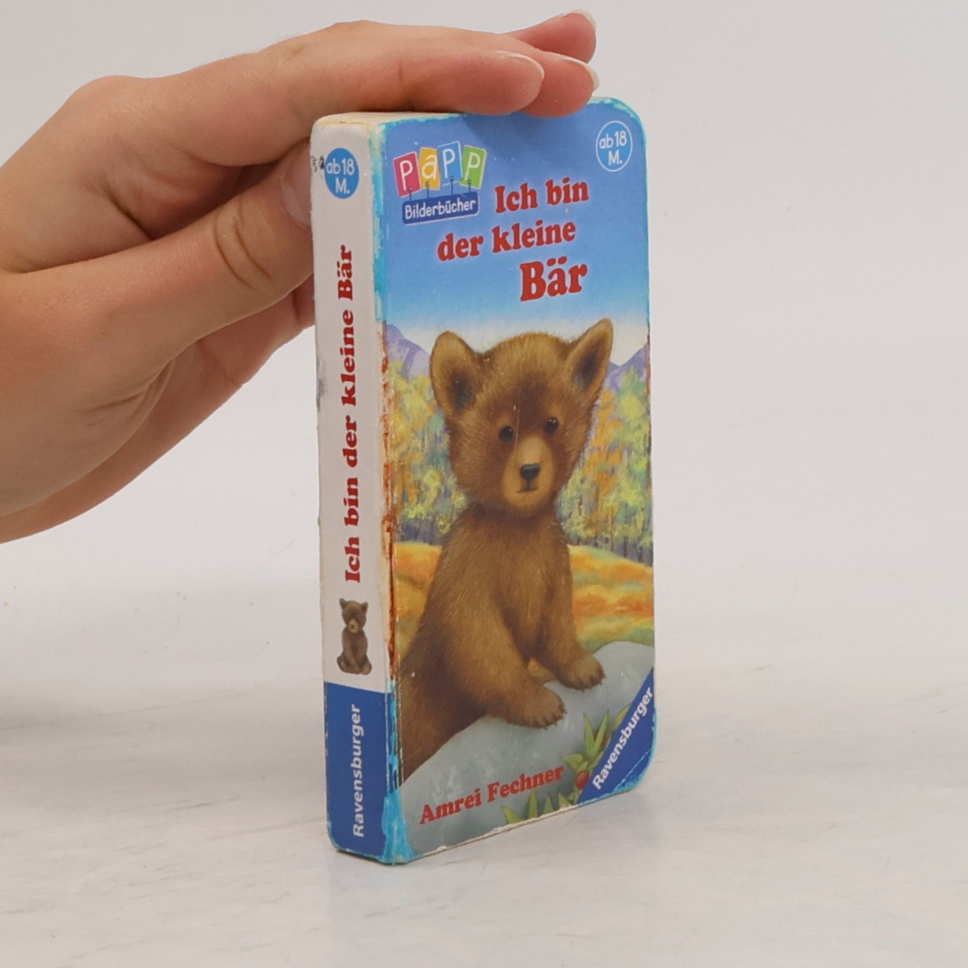 Amrei Fechner Ich bin der kleine Tiger