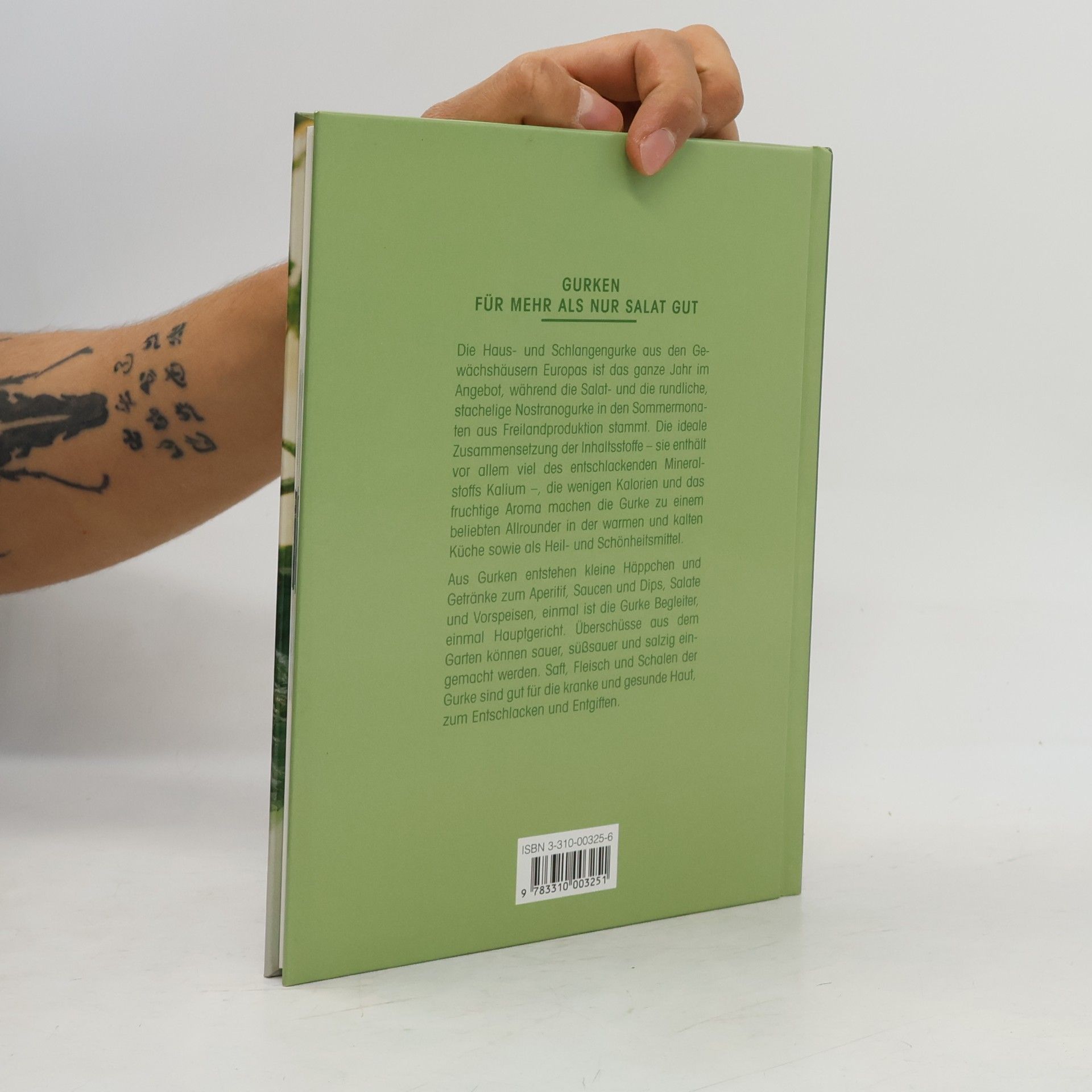 Beatrice Aepli Das Gurken-Kochbuch