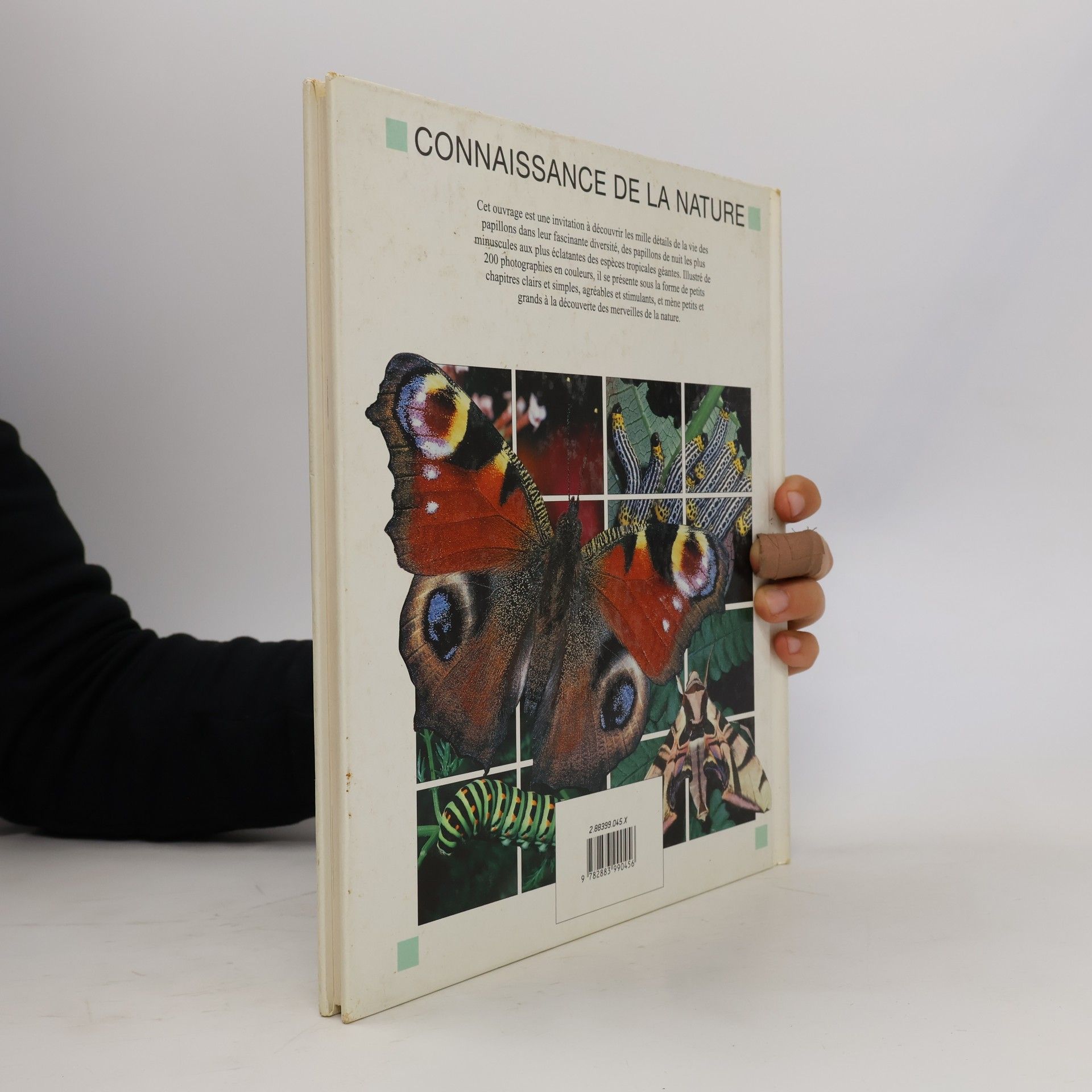 John Feltwell Connaissance de la Nature: Papillons