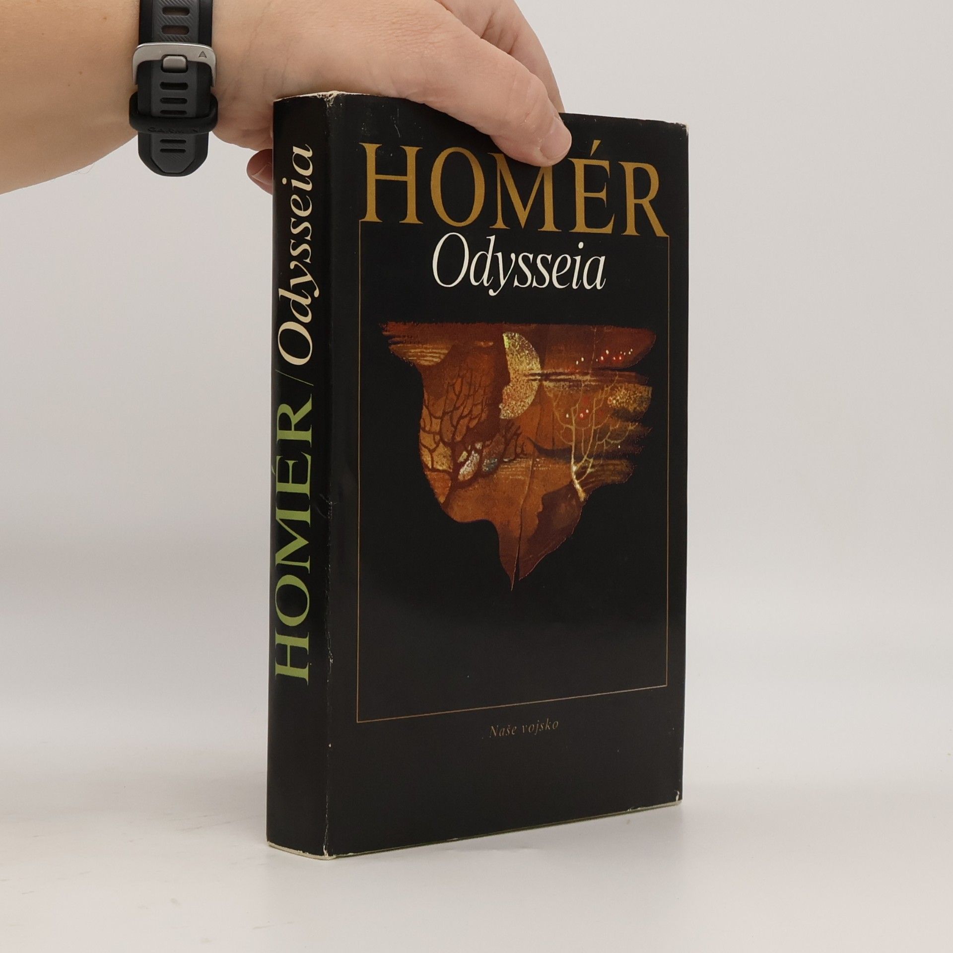 Homér Odysseia
