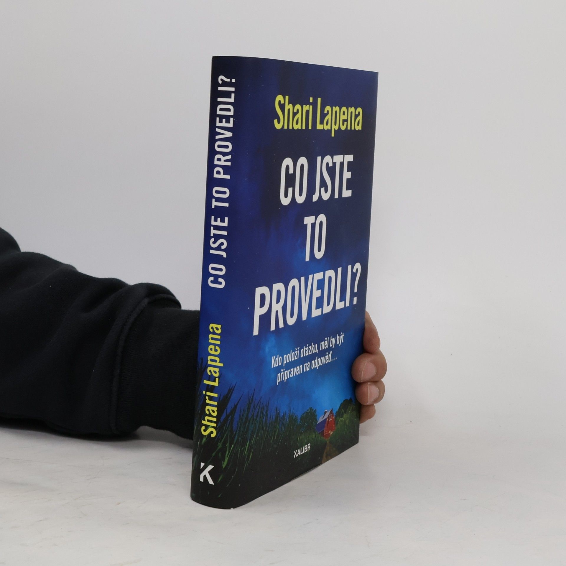 Shari Lapena Co jste to provedli?