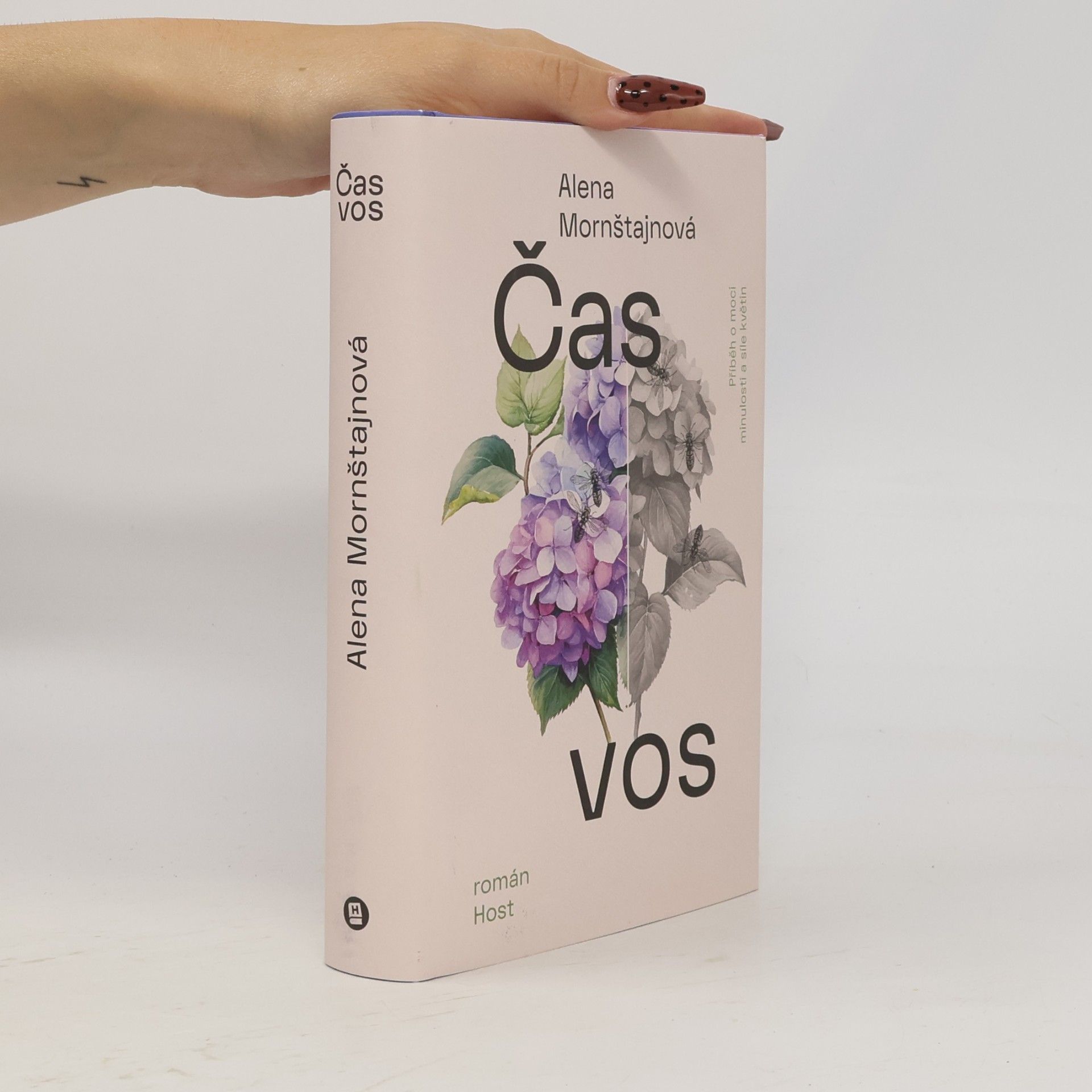 Alena Mornštajnová Čas vos