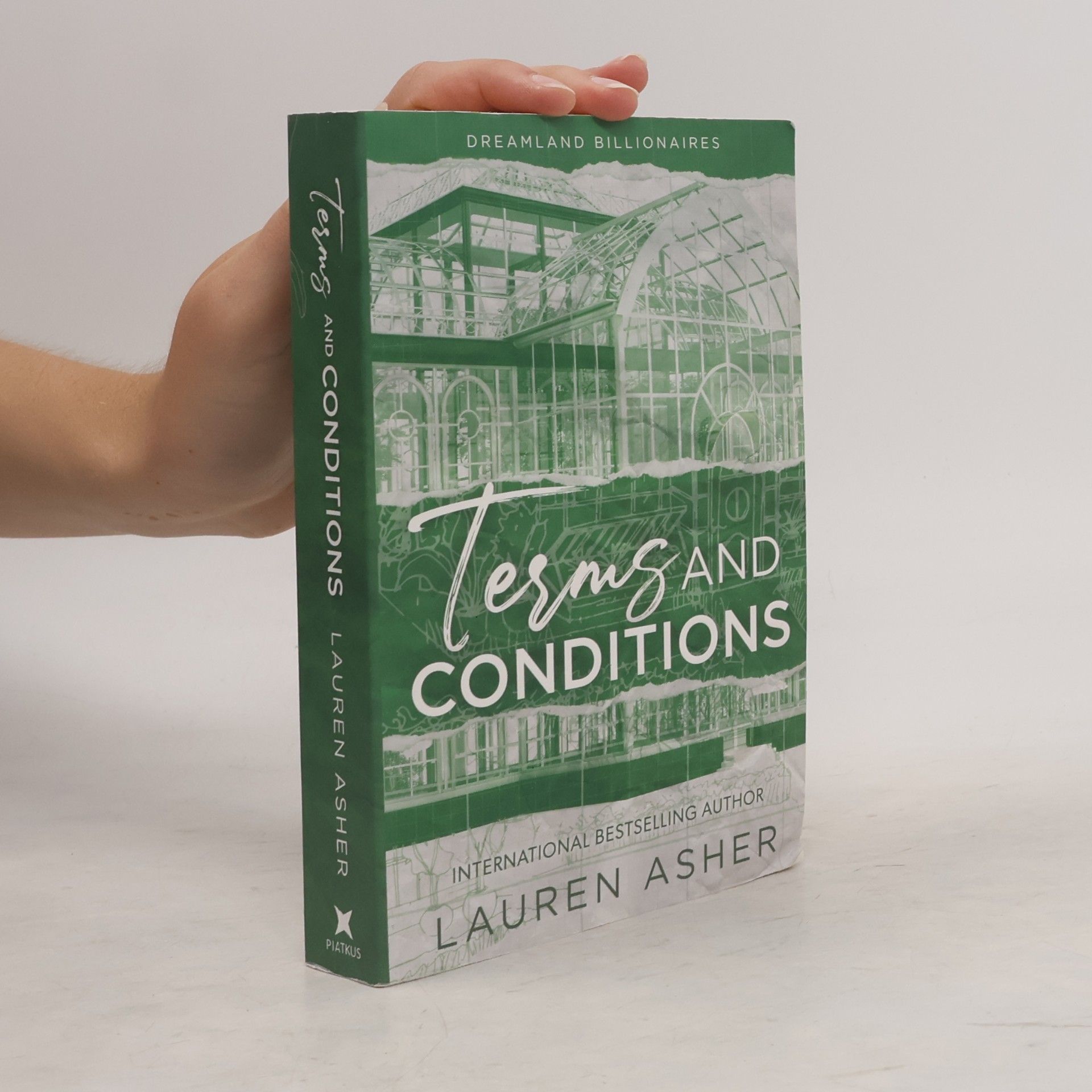 Lauren Asher Dreamland billionaires. Terms and conditions