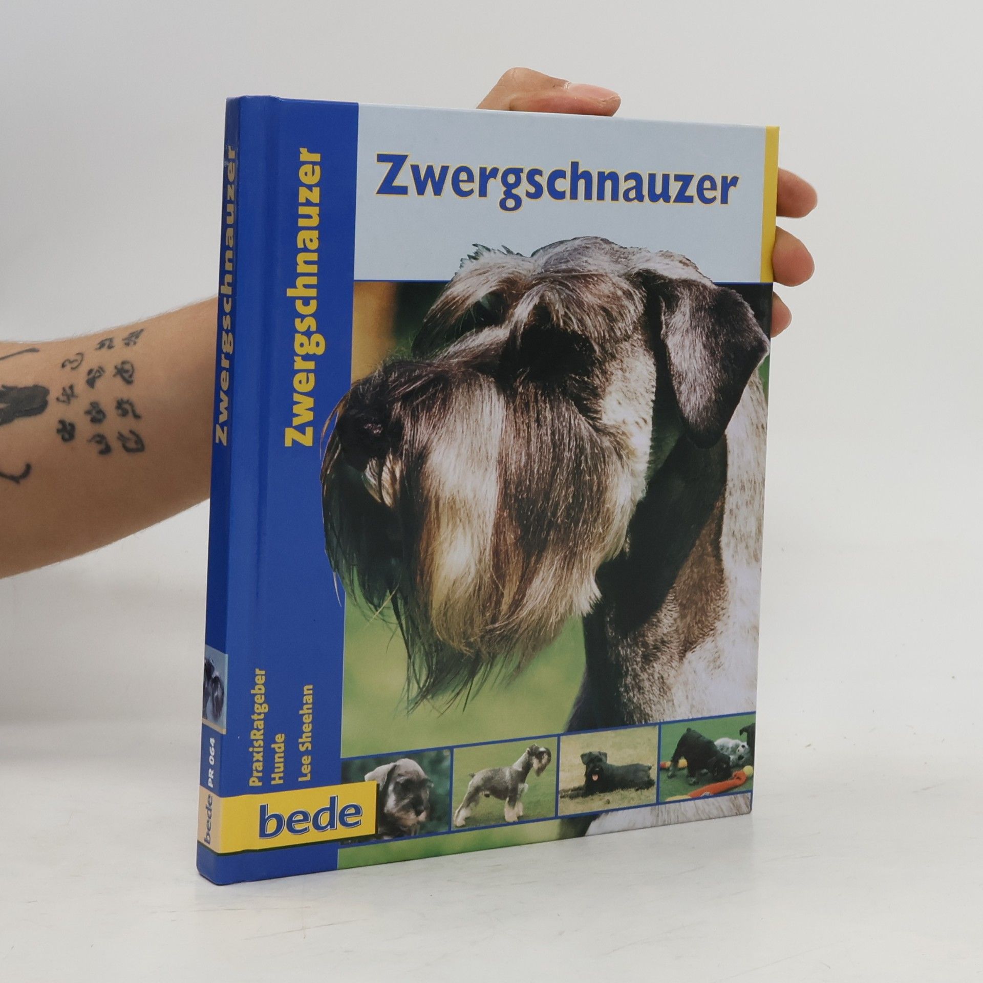 Lee Sheehan Zwergschnauzer