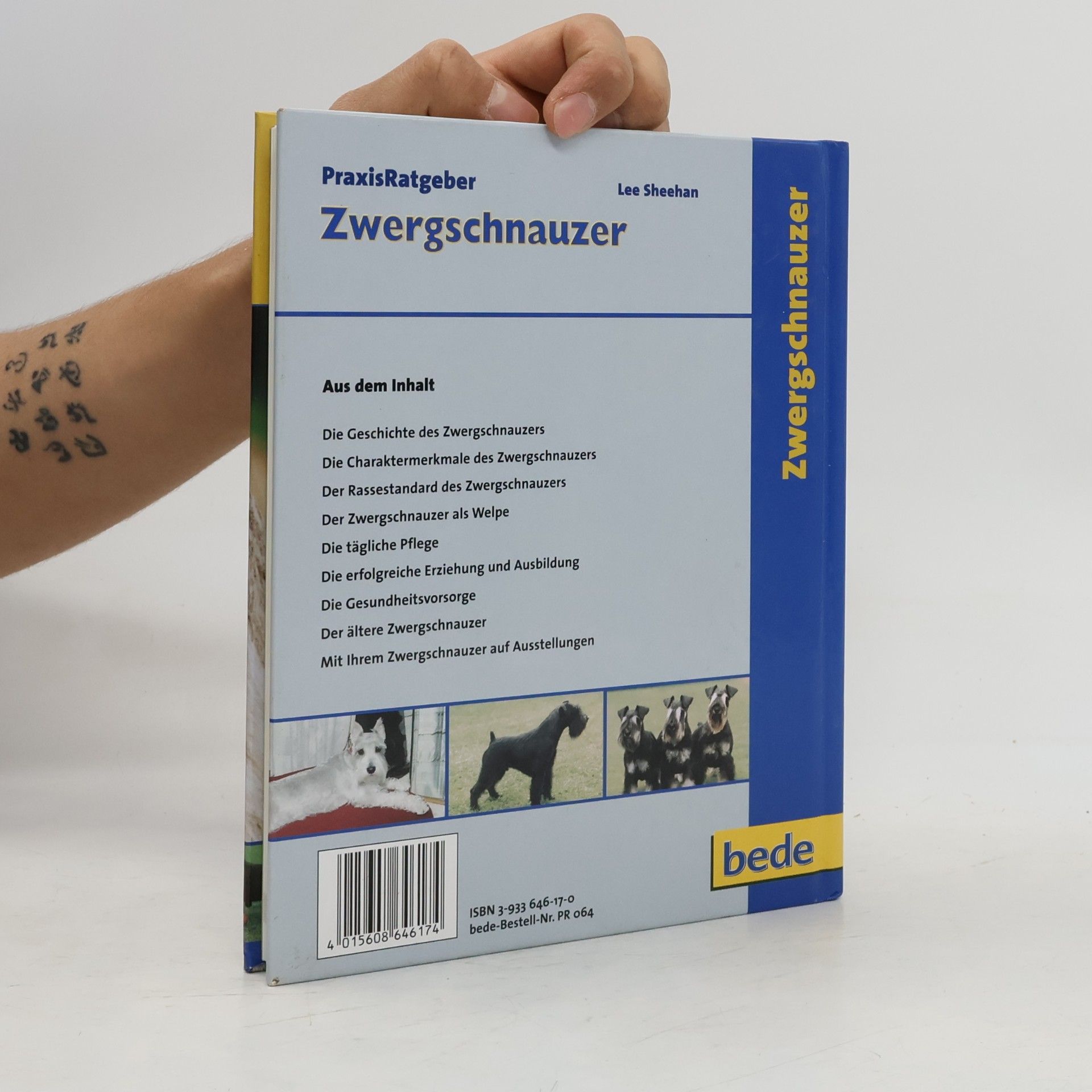 Lee Sheehan Zwergschnauzer