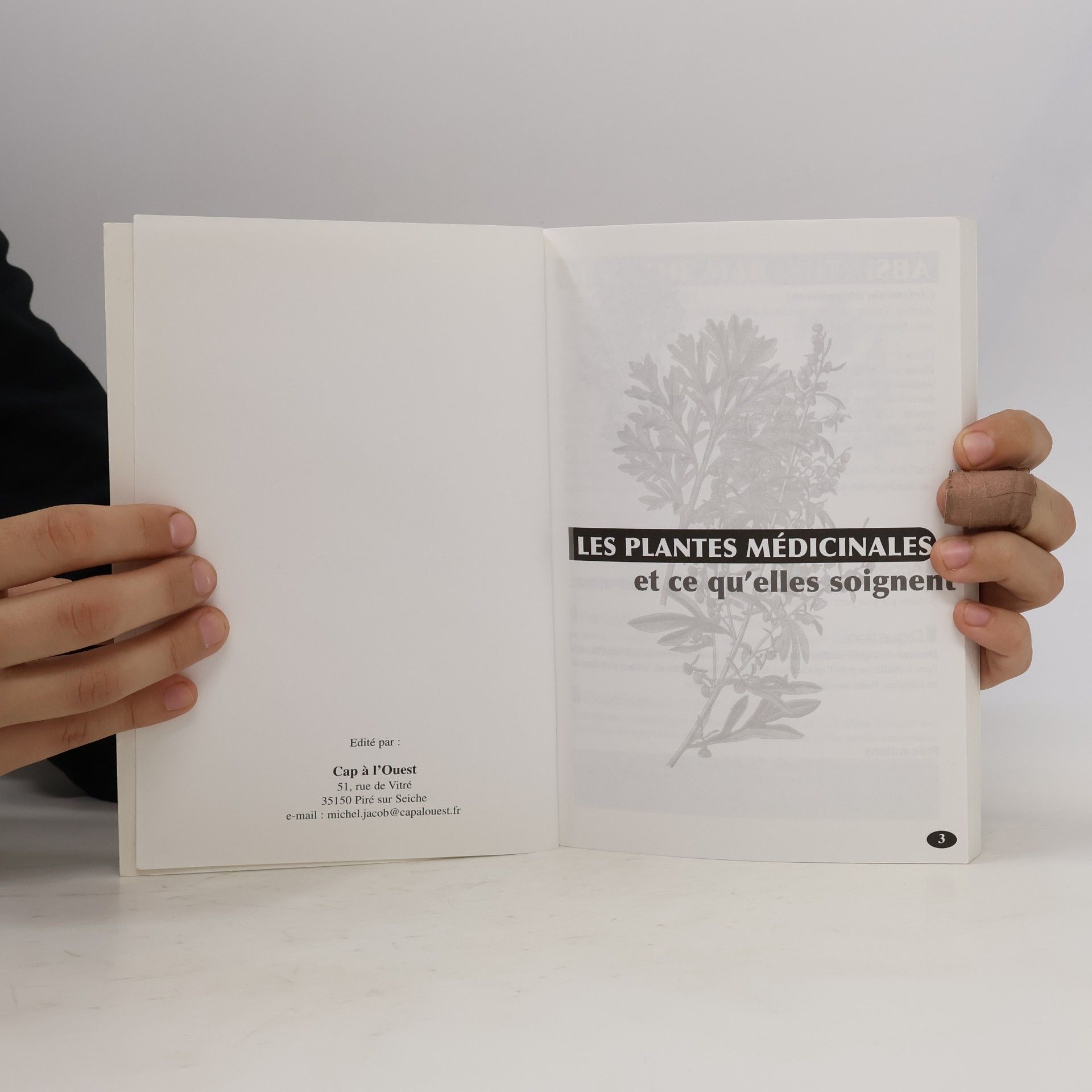Marcelle Le Stang Soignez-vous par les plantes, les fruits, les légumes