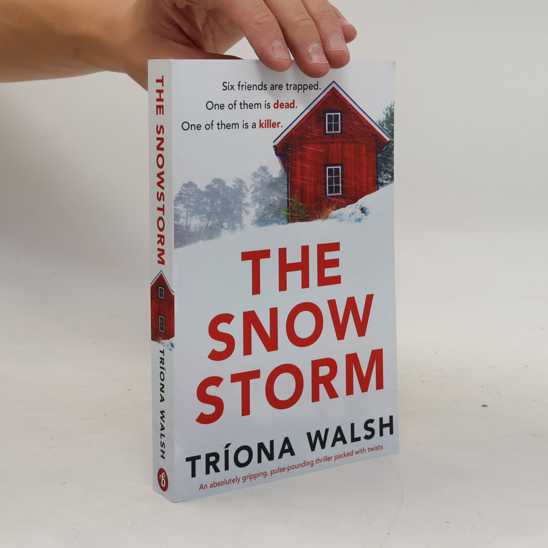 Tríona Walsh The Snowstorm
