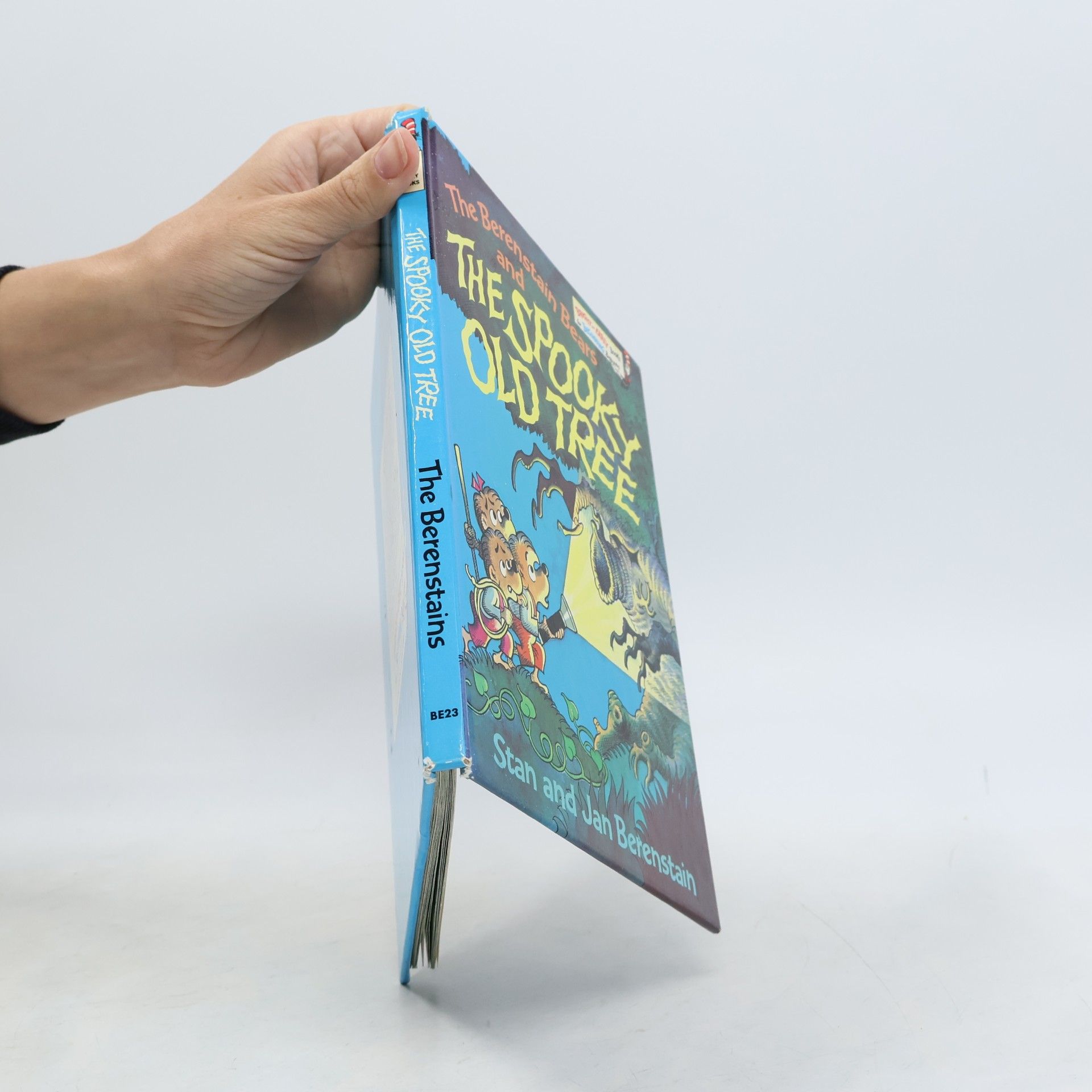 Auteurscollectief The Berenstain bears and the spooky old tree