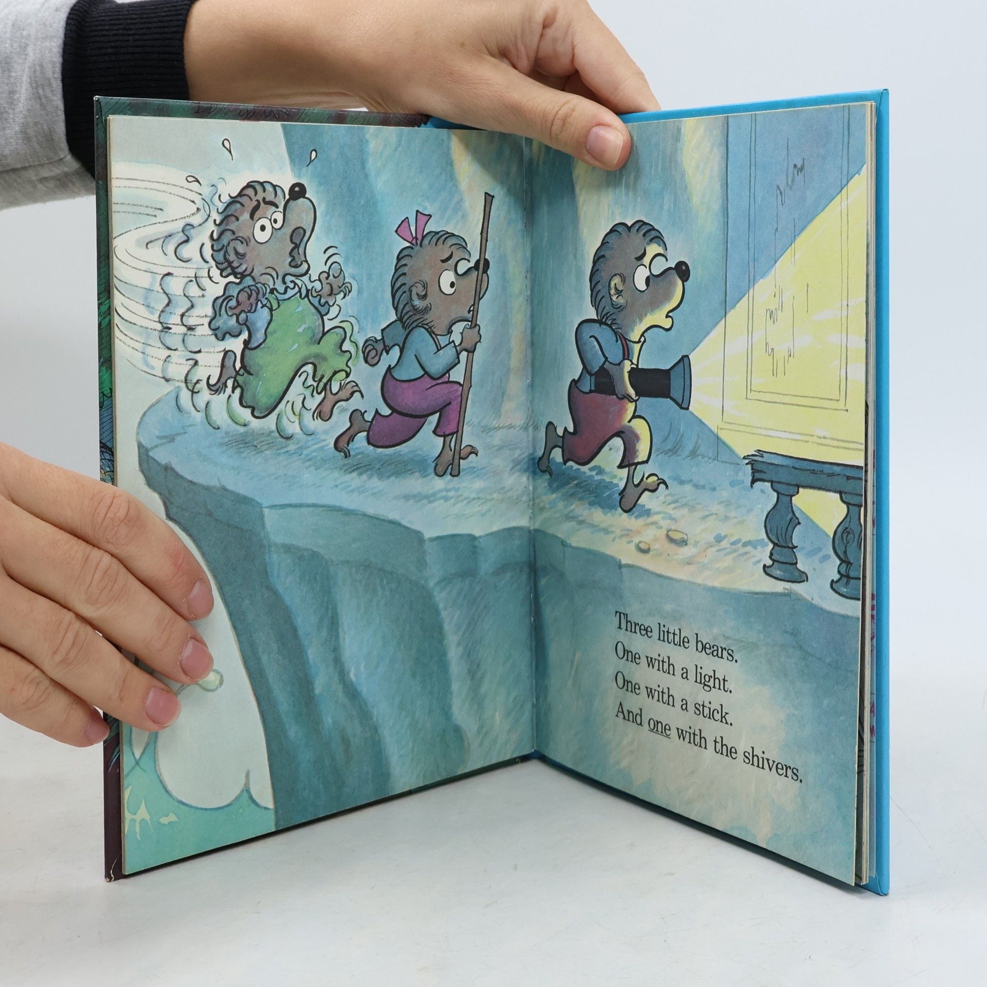Auteurscollectief The Berenstain bears and the spooky old tree