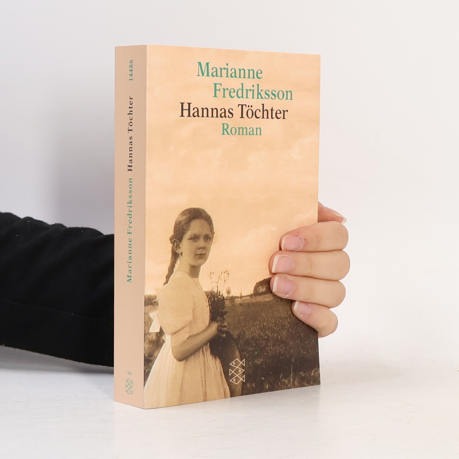 Marianne Fredriksson Hannas Töchter