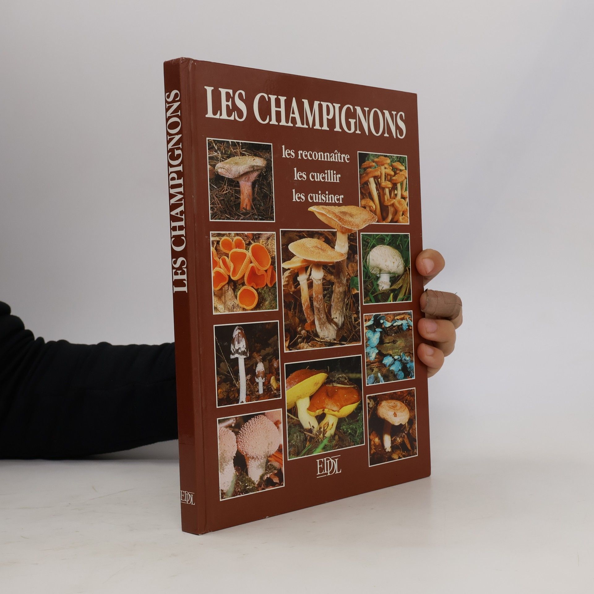 Various authors Les champignons