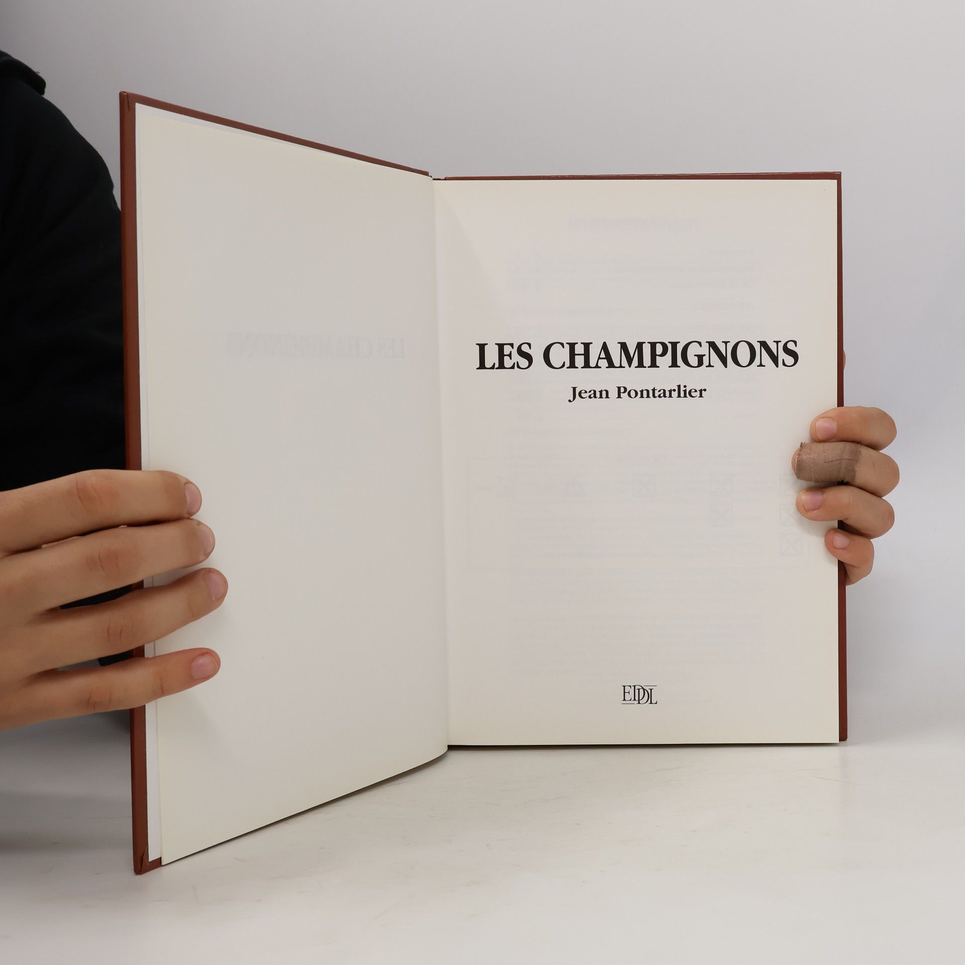 Les champignons