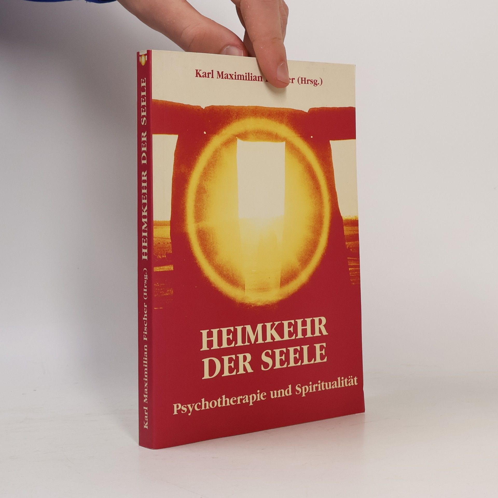 Autorenkollektiv Heimkehr der Seele: Psychoterapie und Spiritualität