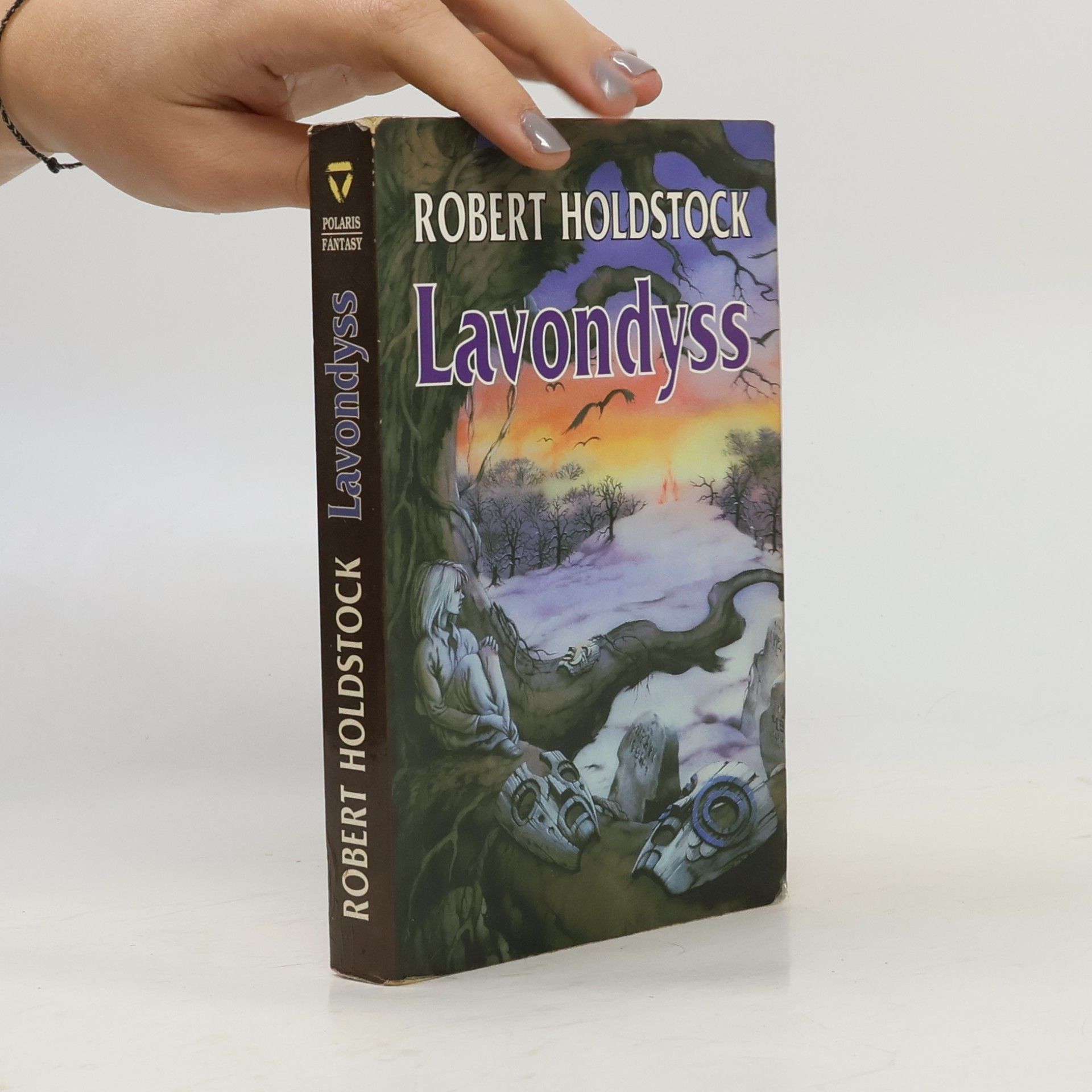 Robert Holdstock Lavondyss : cesta do neznámé země