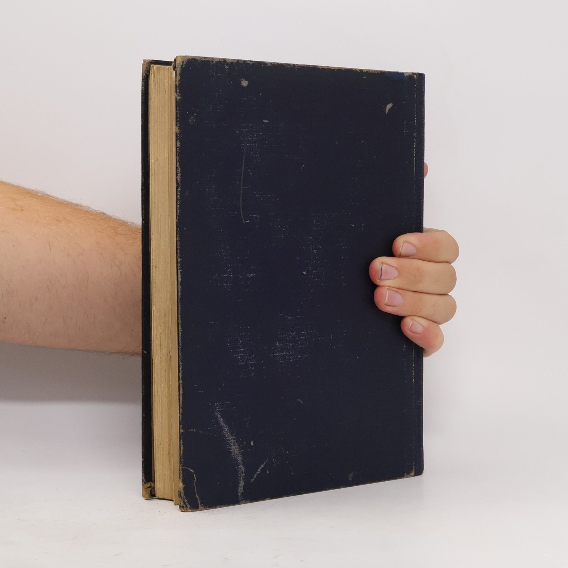 Karl Woermann Geschichte der Kunst 1