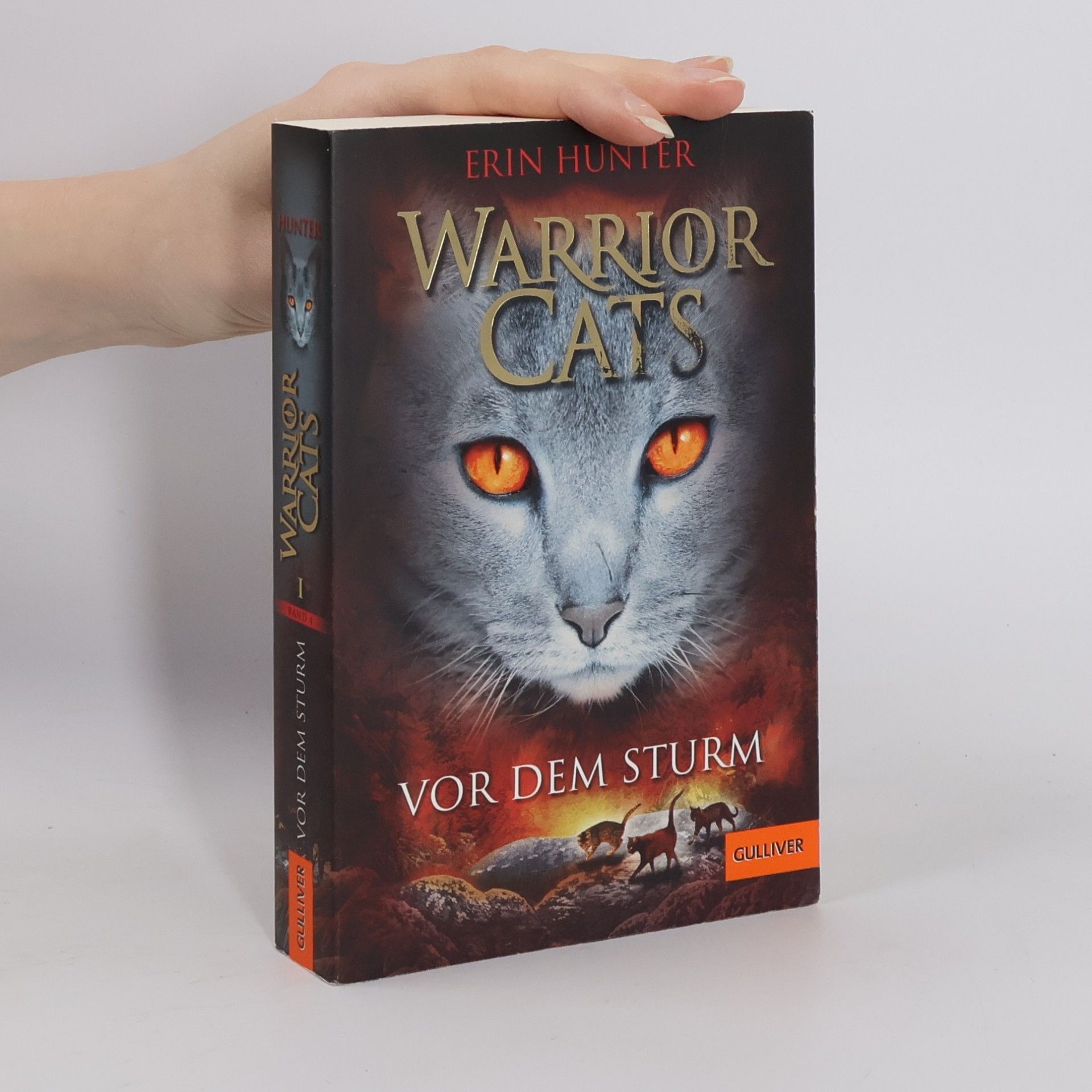 Warrior Cats. Vor dem Sturm