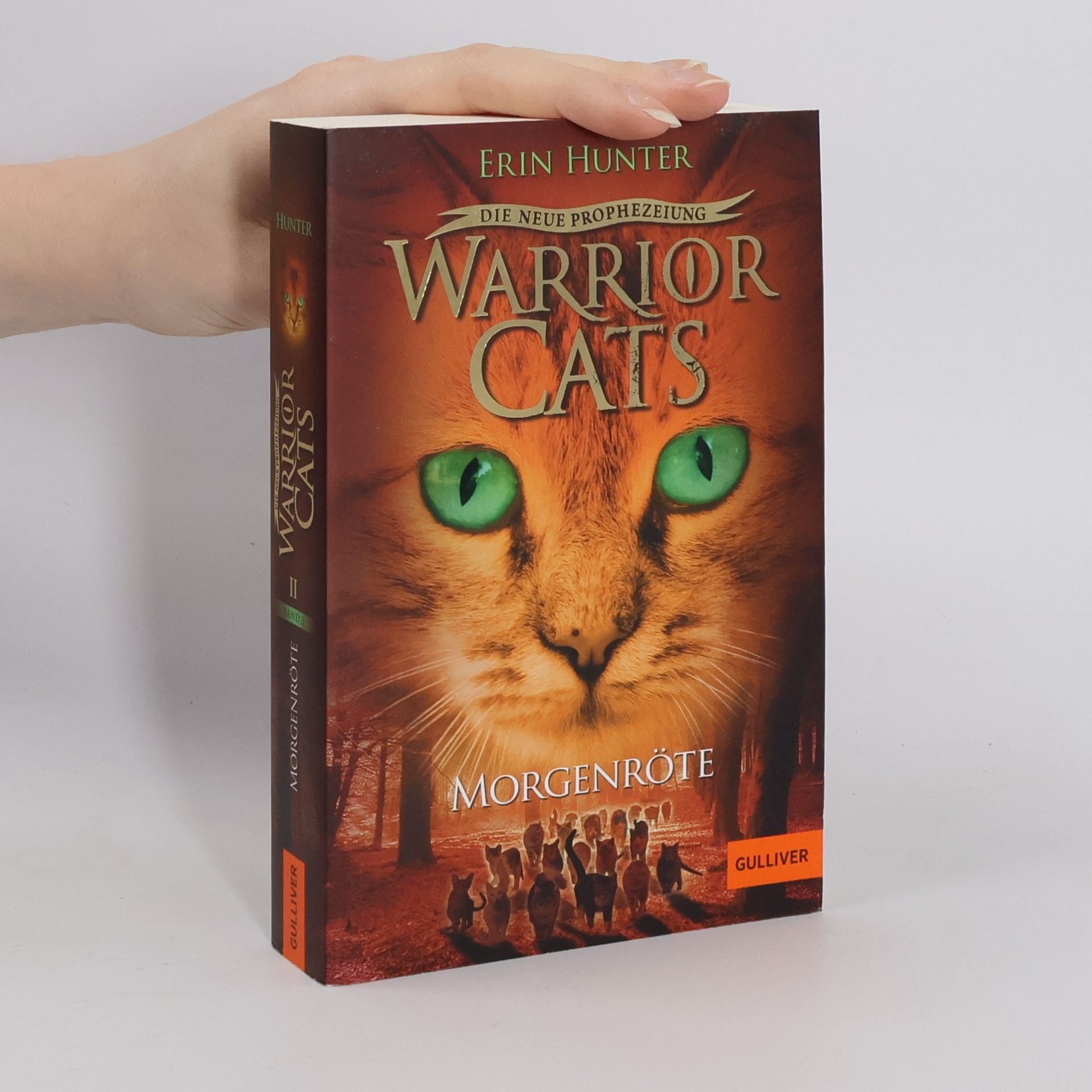 Erin Hunter Warrior Cats. Die neue Prophezeiung Band 3. Morgenröte