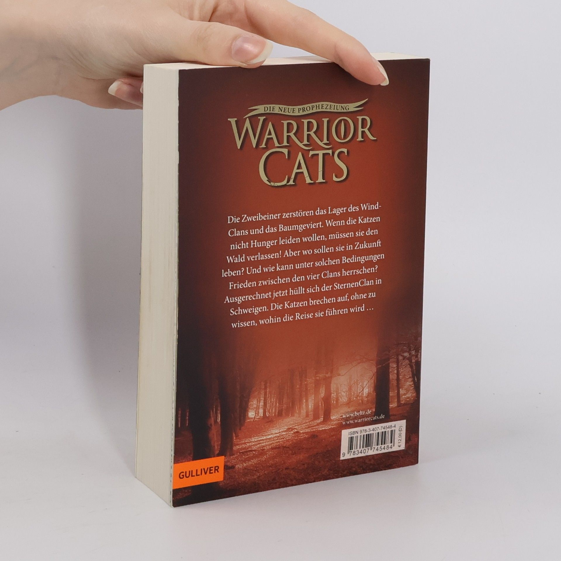 Erin Hunter Warrior Cats. Die neue Prophezeiung Band 3. Morgenröte