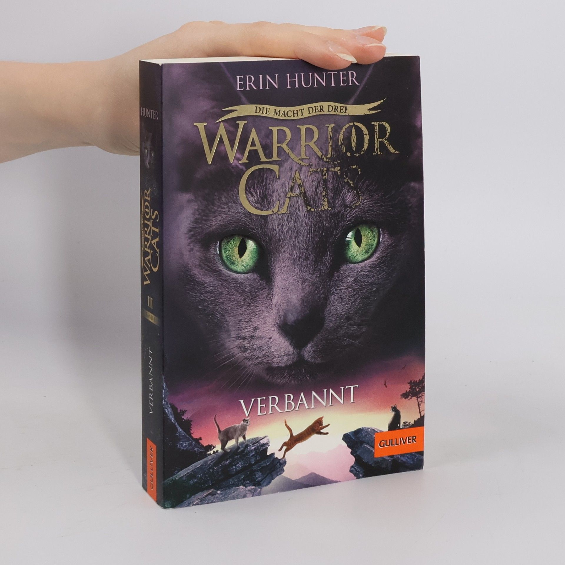 Erin Hunter Verbannt