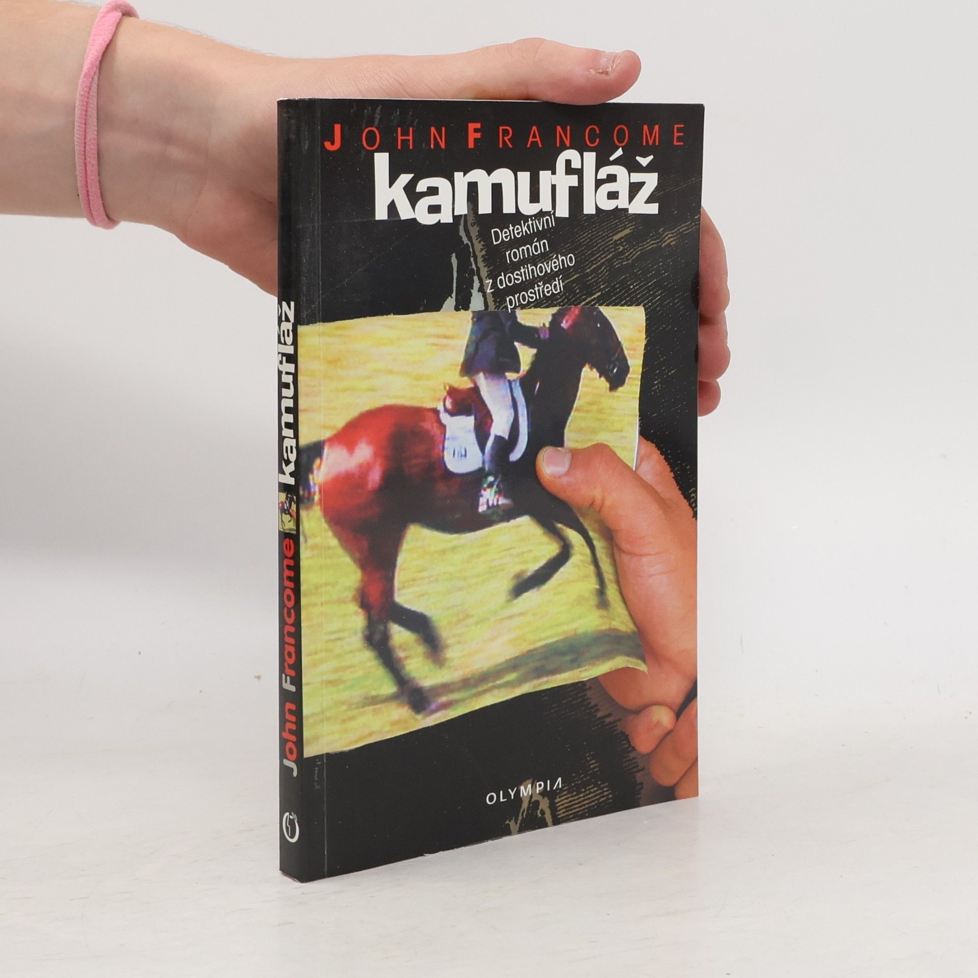 Kamufláž
