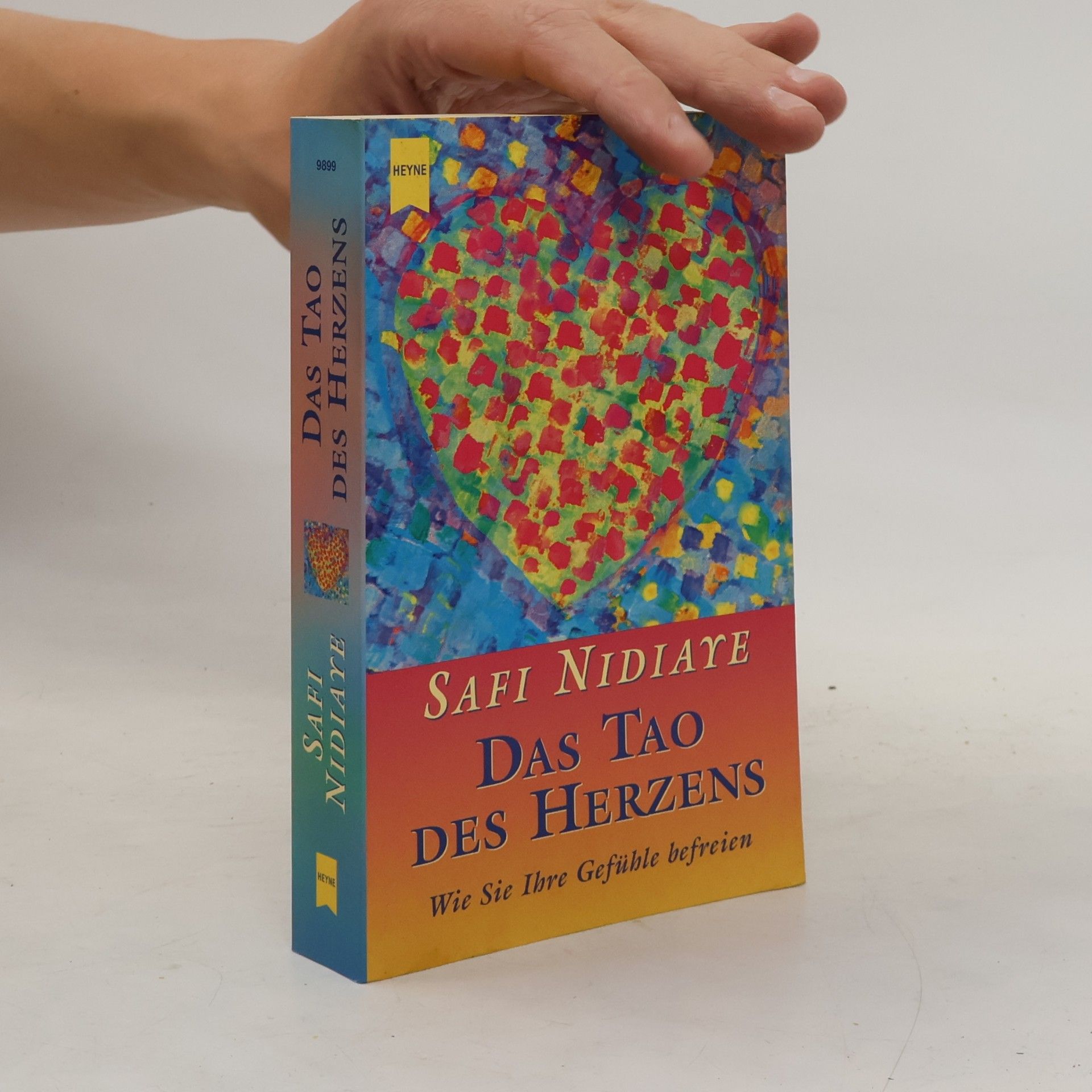 Safi Nidiaye Das Tao des Herzens