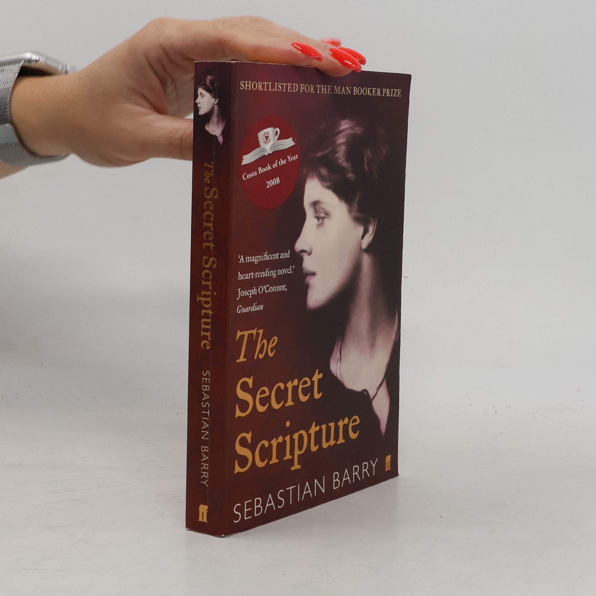 Sebastian Barry The secret scripture