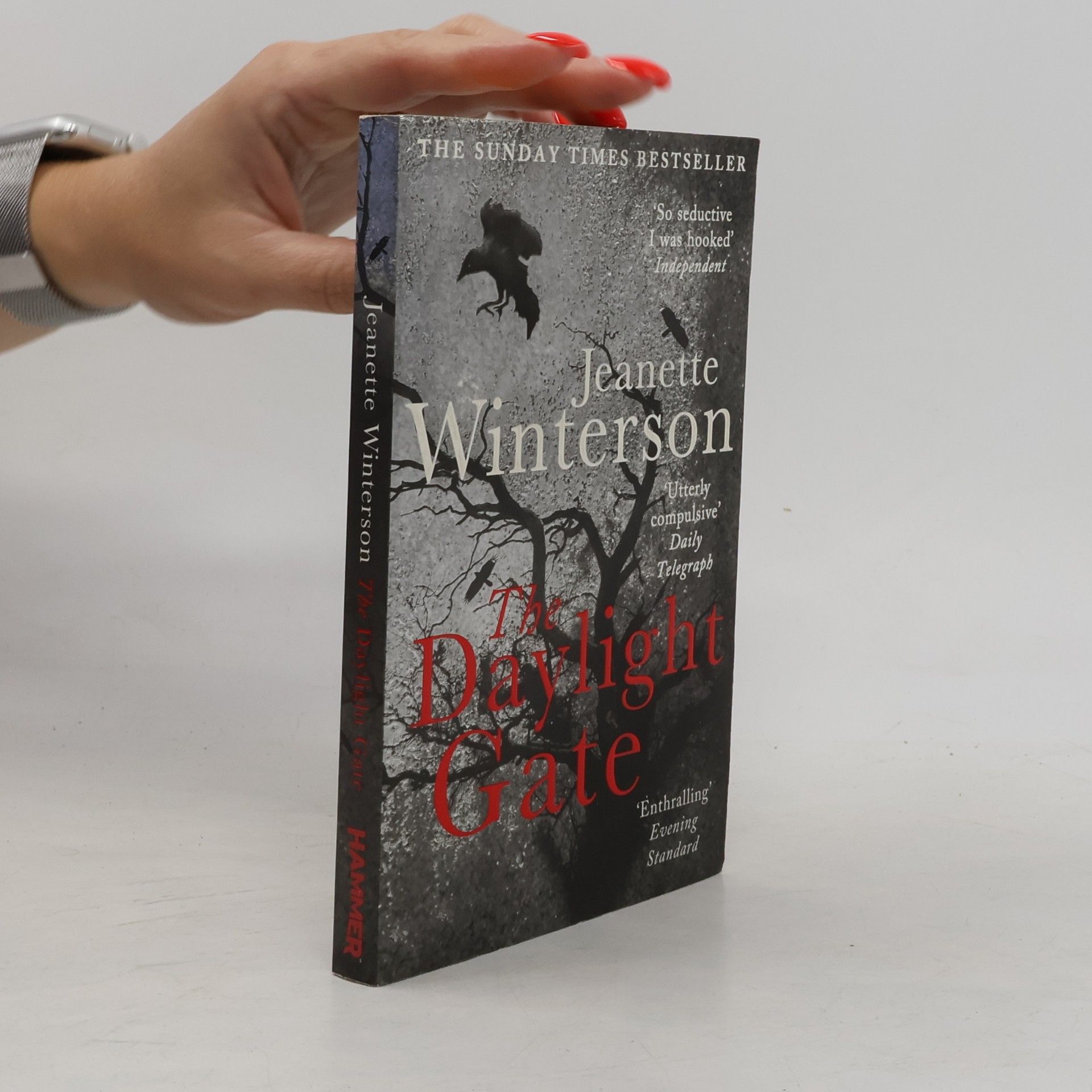 Jeanette Winterson The Daylight Gate