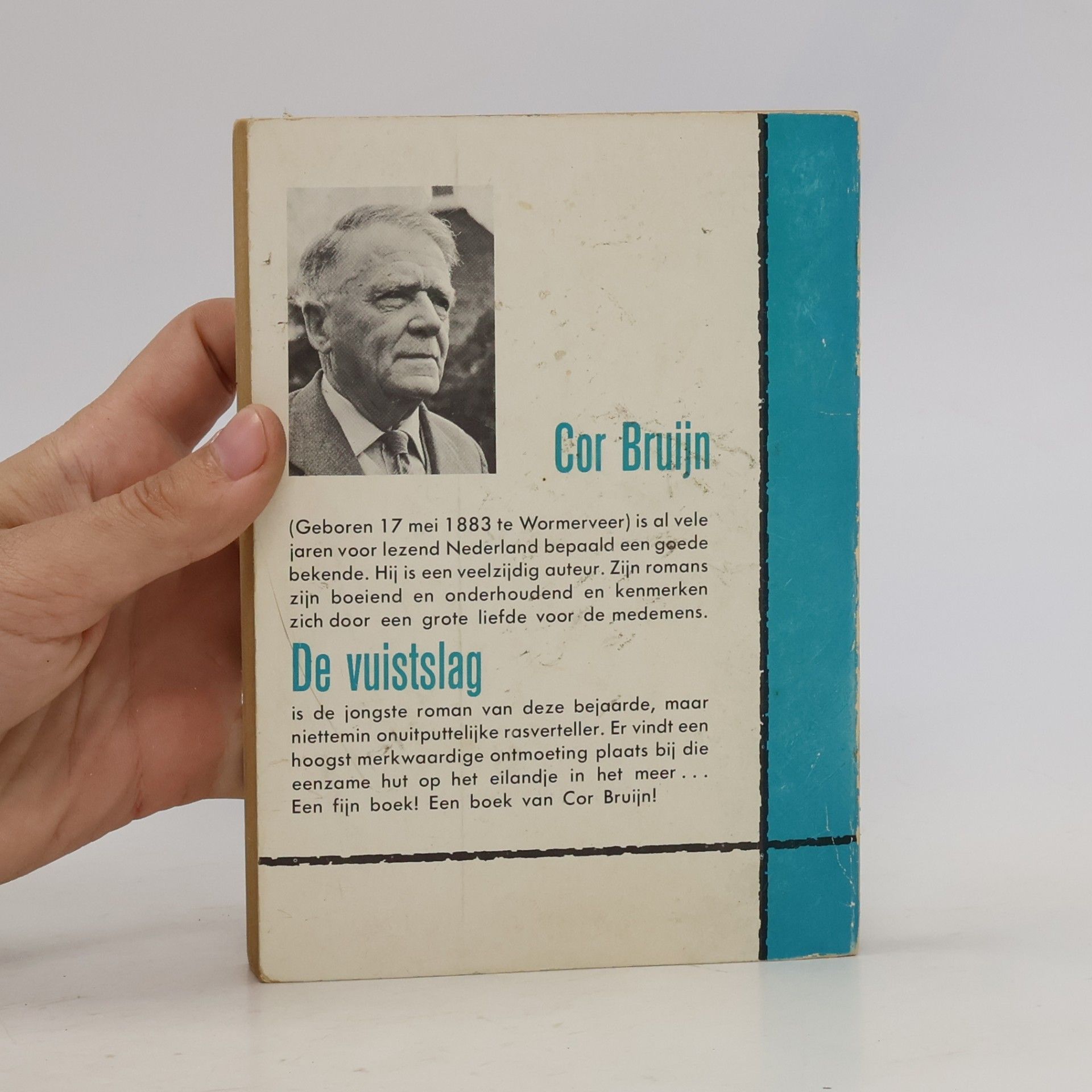 Cor Bruijn De vuistslag