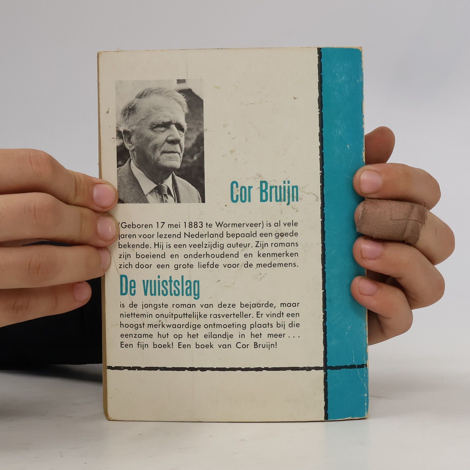 Cor Bruijn De vuistslag