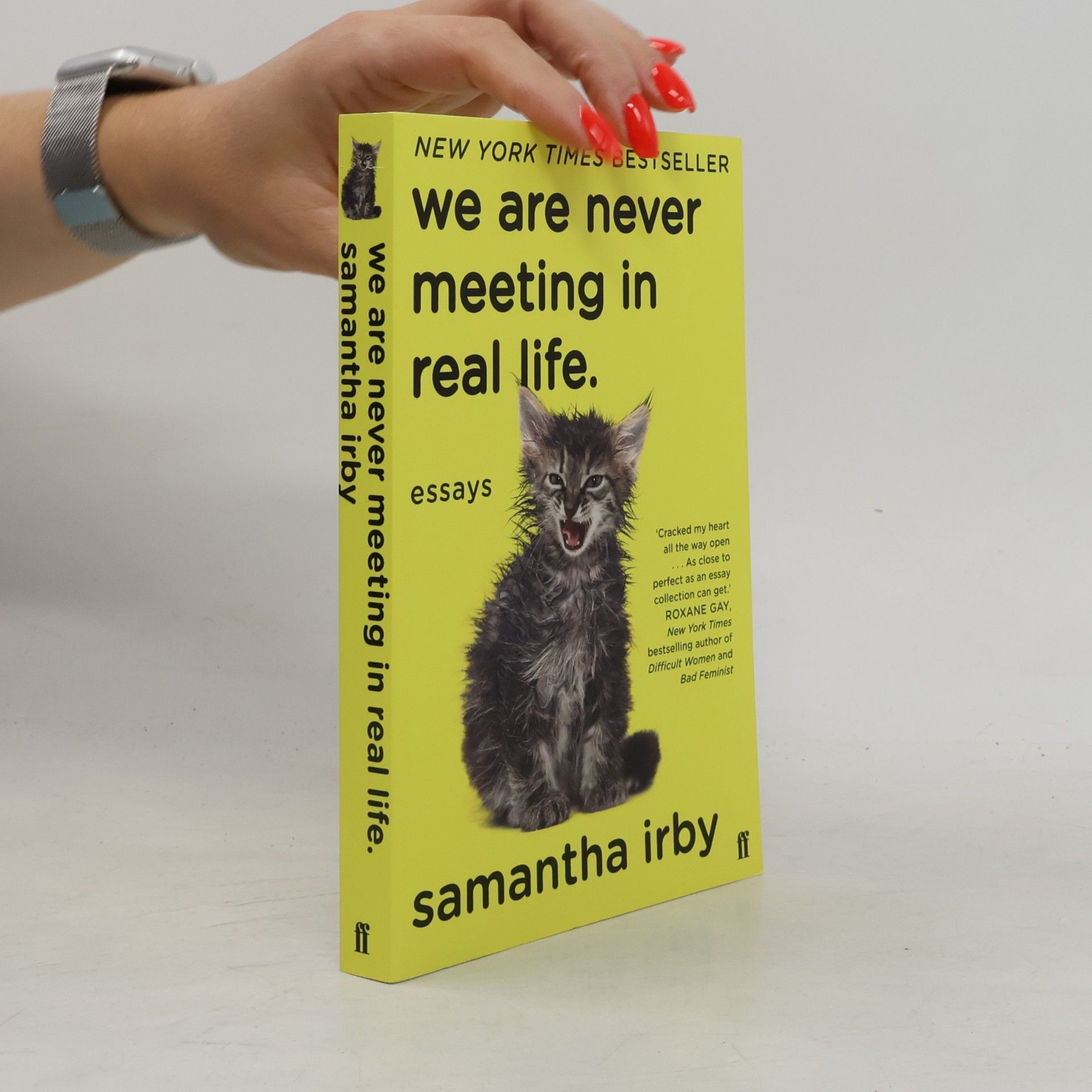 Samantha Irby We Are Never Meeting in Real Life