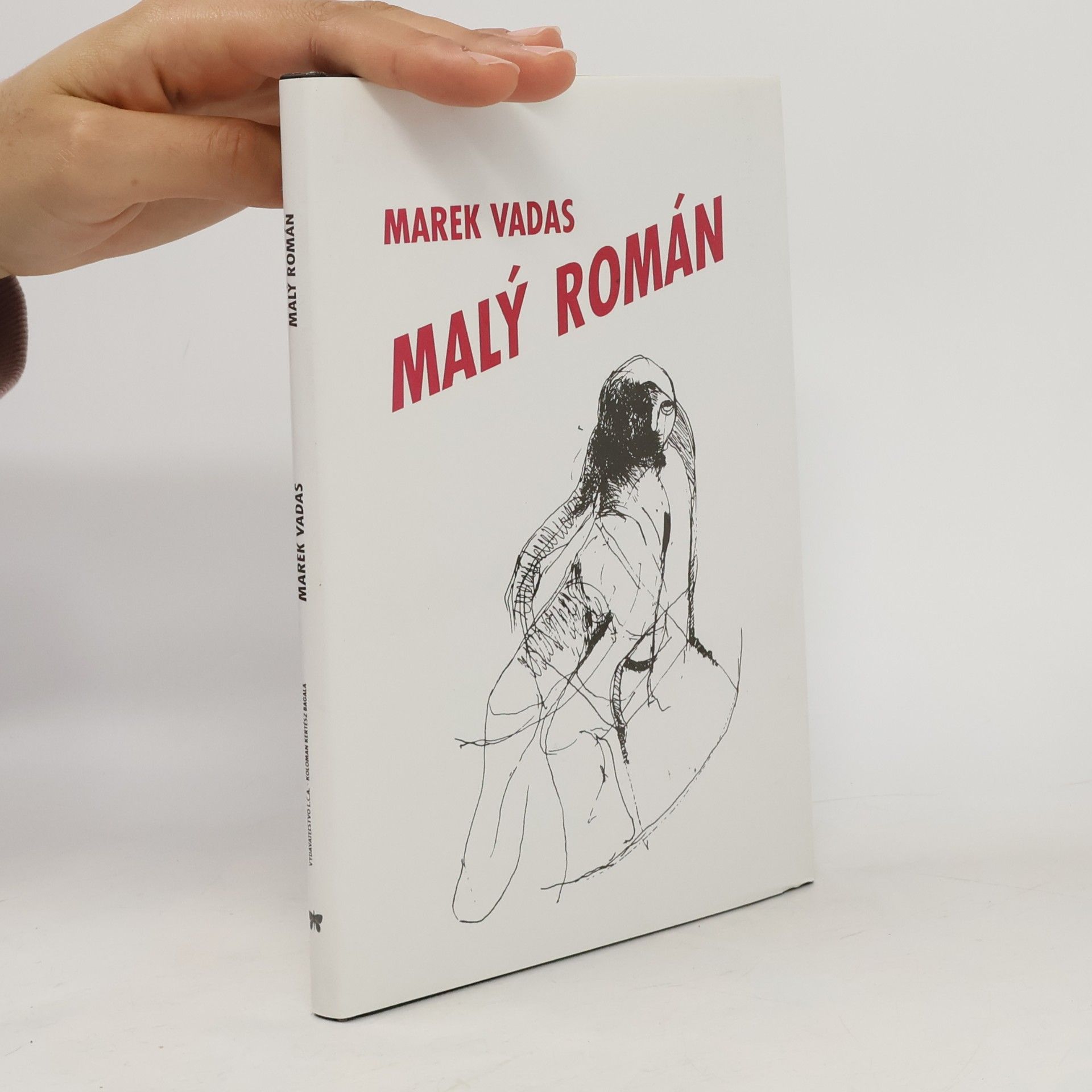 Marek Vadas Malý román
