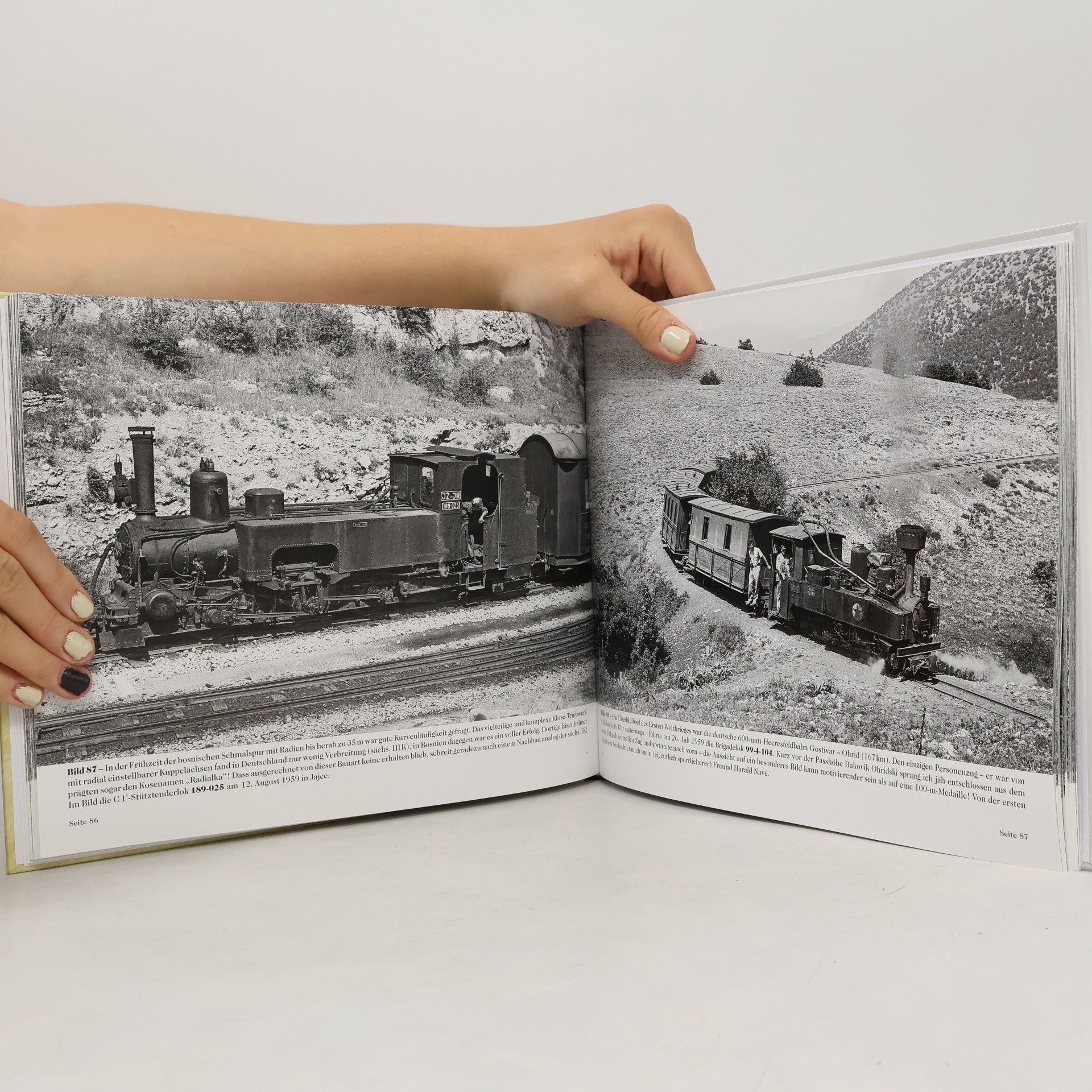 Autorenkollektiv Alte Meister der Eisenbahn-Photographie: Alfred Luft