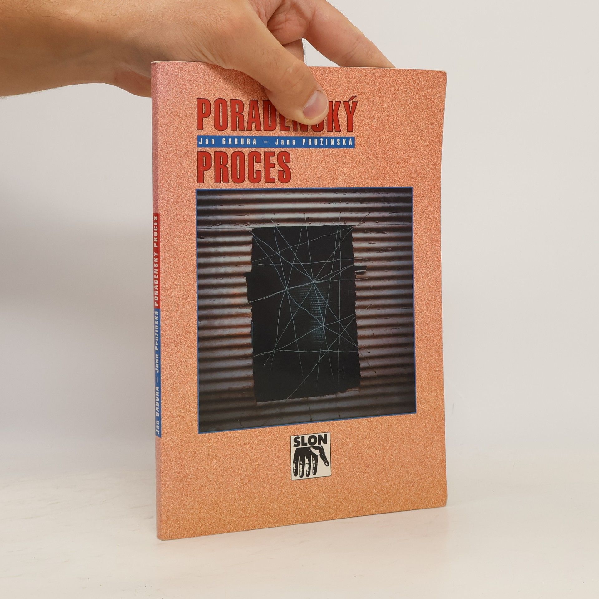 Jana Pružinská Poradenský proces