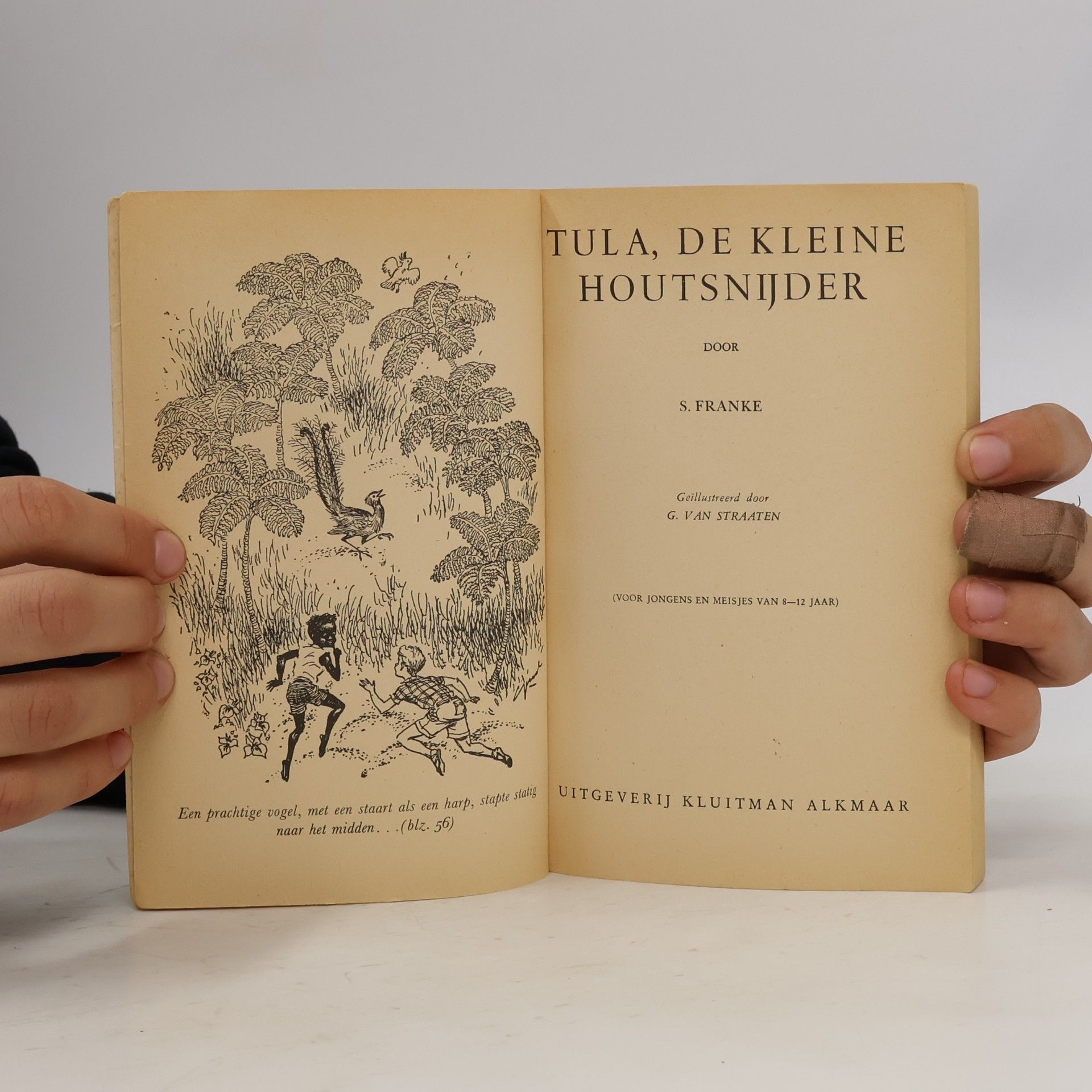 Simon Franke Tula de kleine houtsnijder
