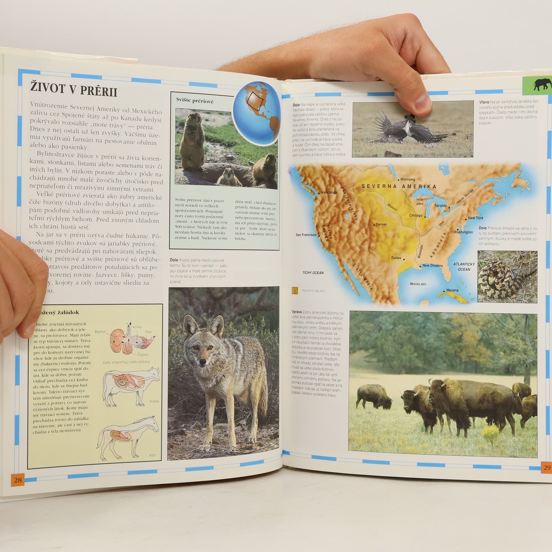 David Lambert Detský atlas zvierat