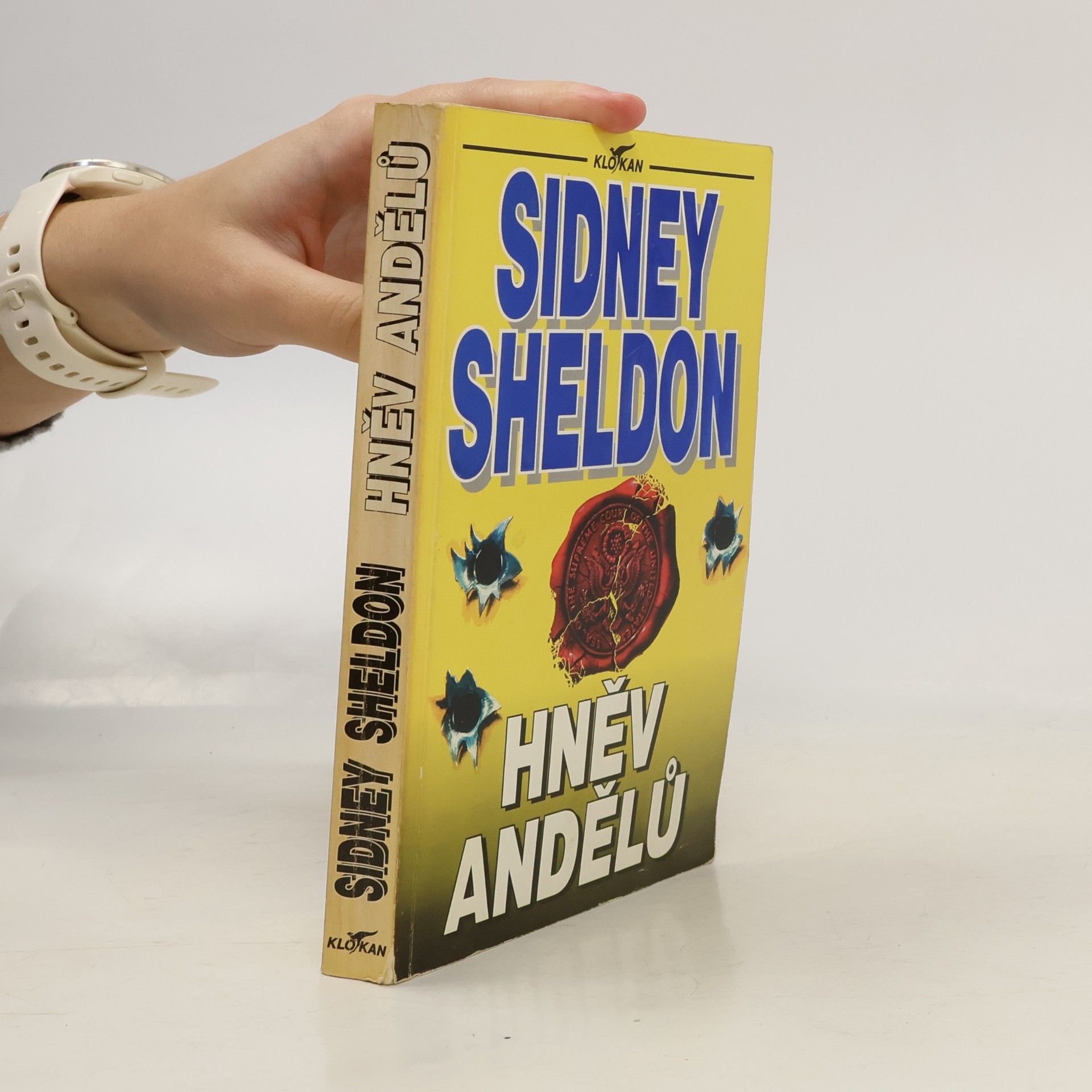 Sidney Sheldon Hněv andělů