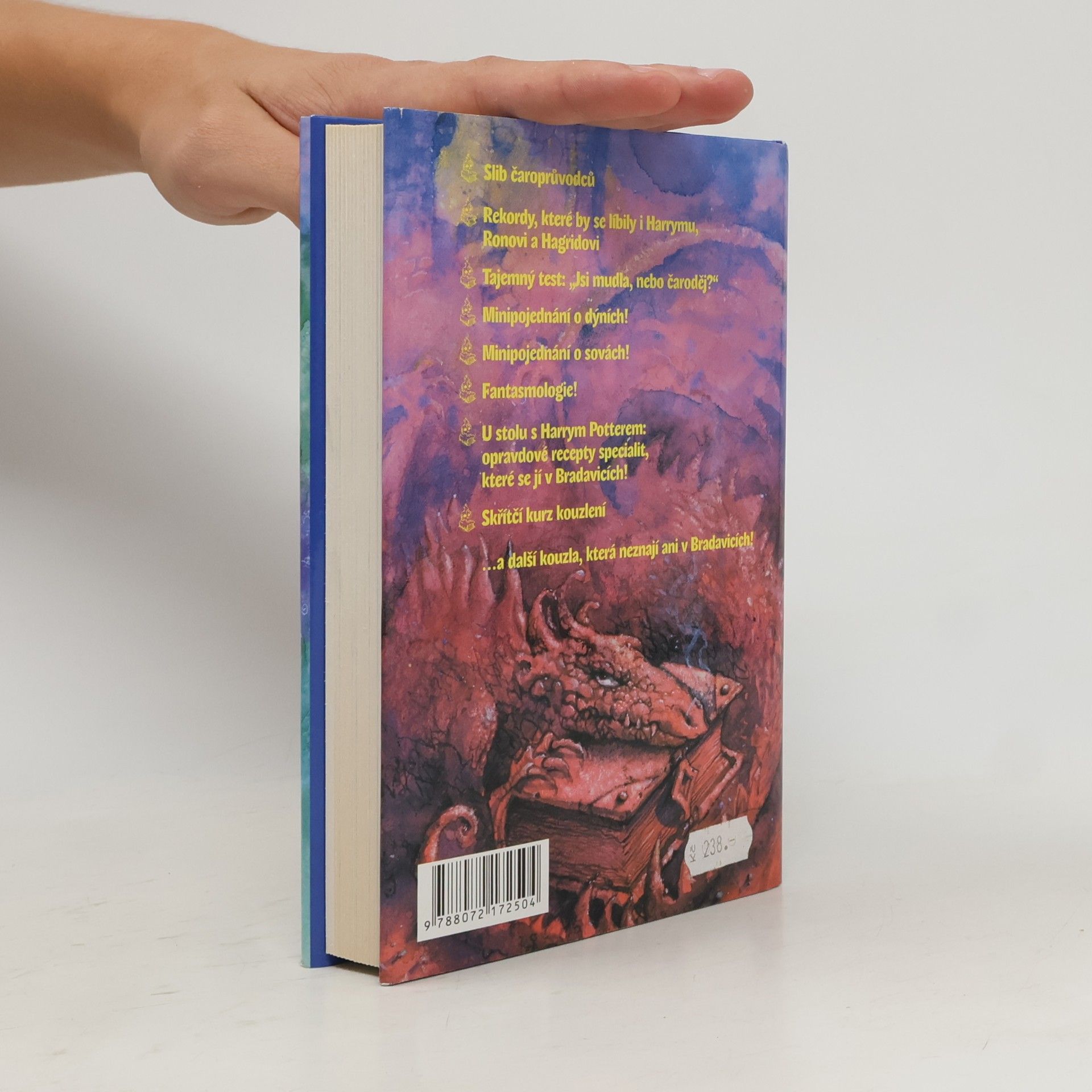 Edi Vesco Čarokniha: Magická říše kouzel Harryho Pottera